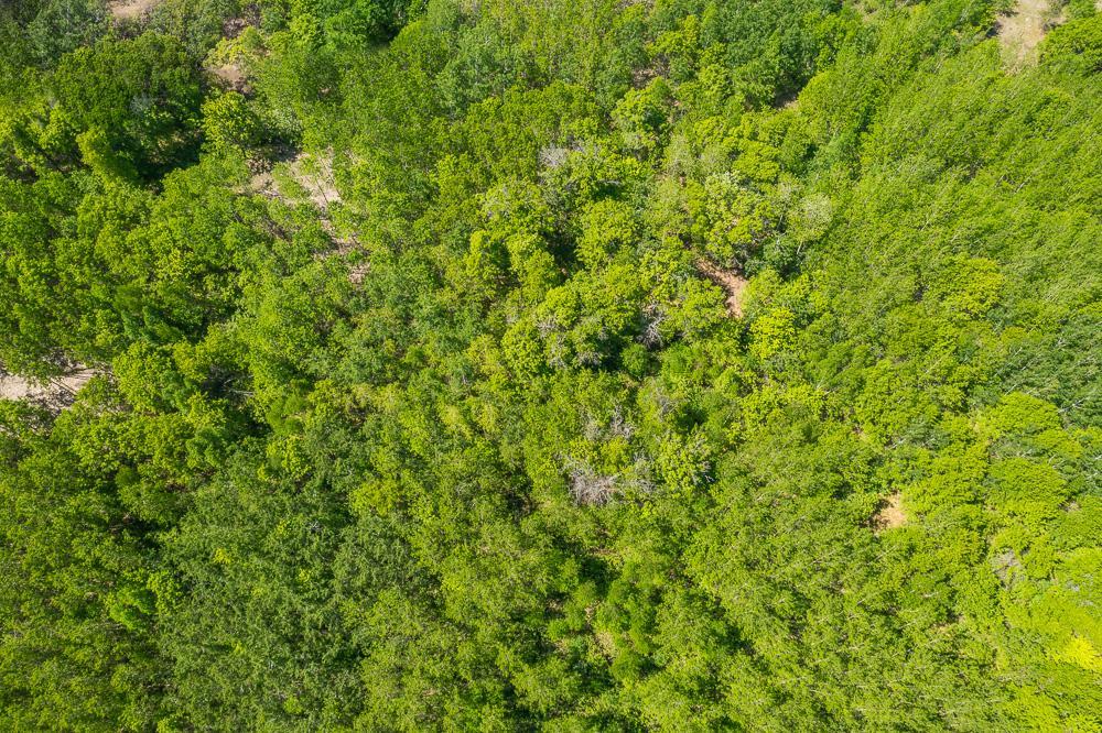 2026 single family home for sale at Lot 29 Sanctuary Path in Brainerd, MN — 3 bed, 2 bath (photo 28 of 37)