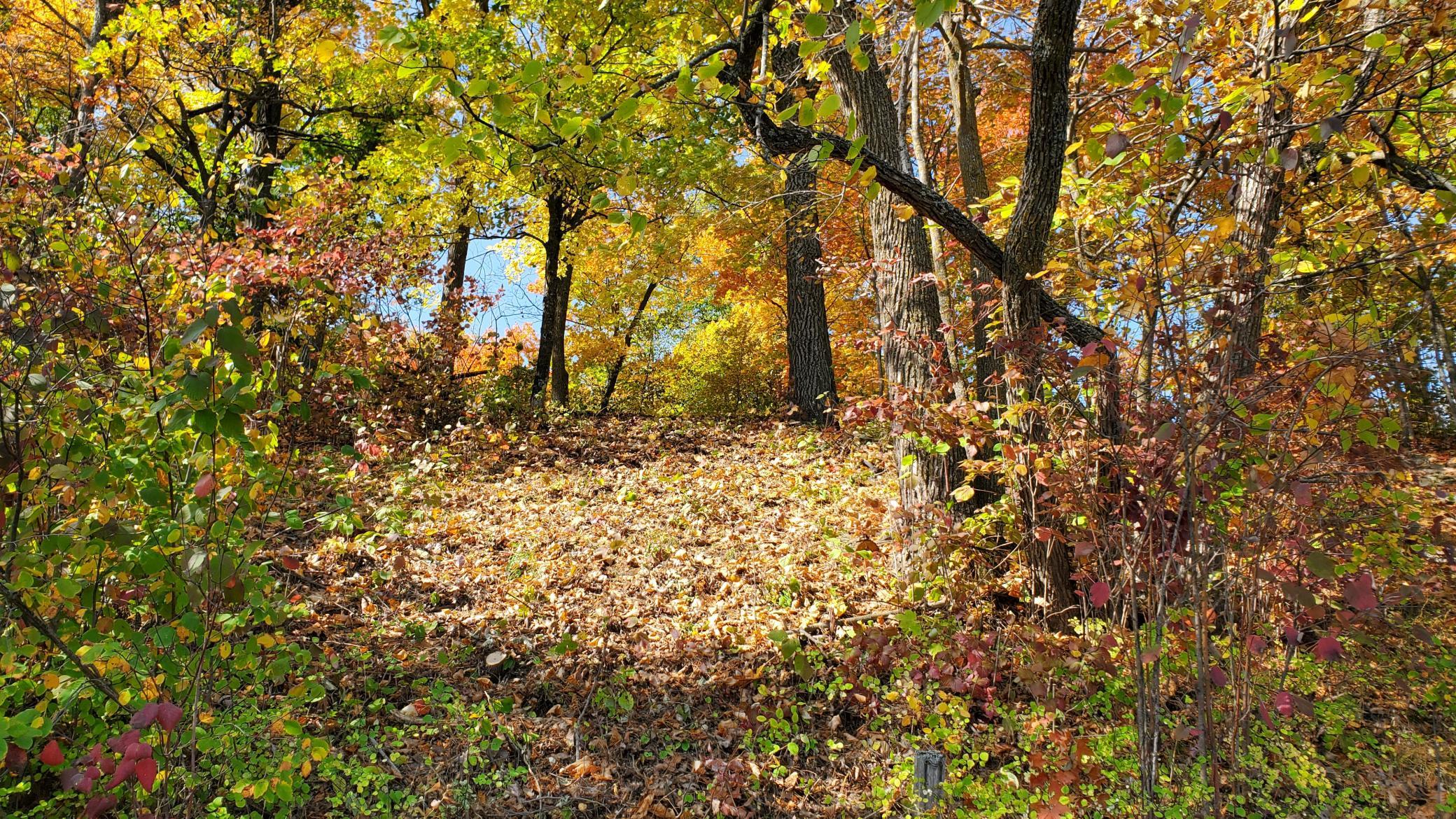 land for sale at 705 28th Street NW in Hackensack, MN (photo 11 of 13)