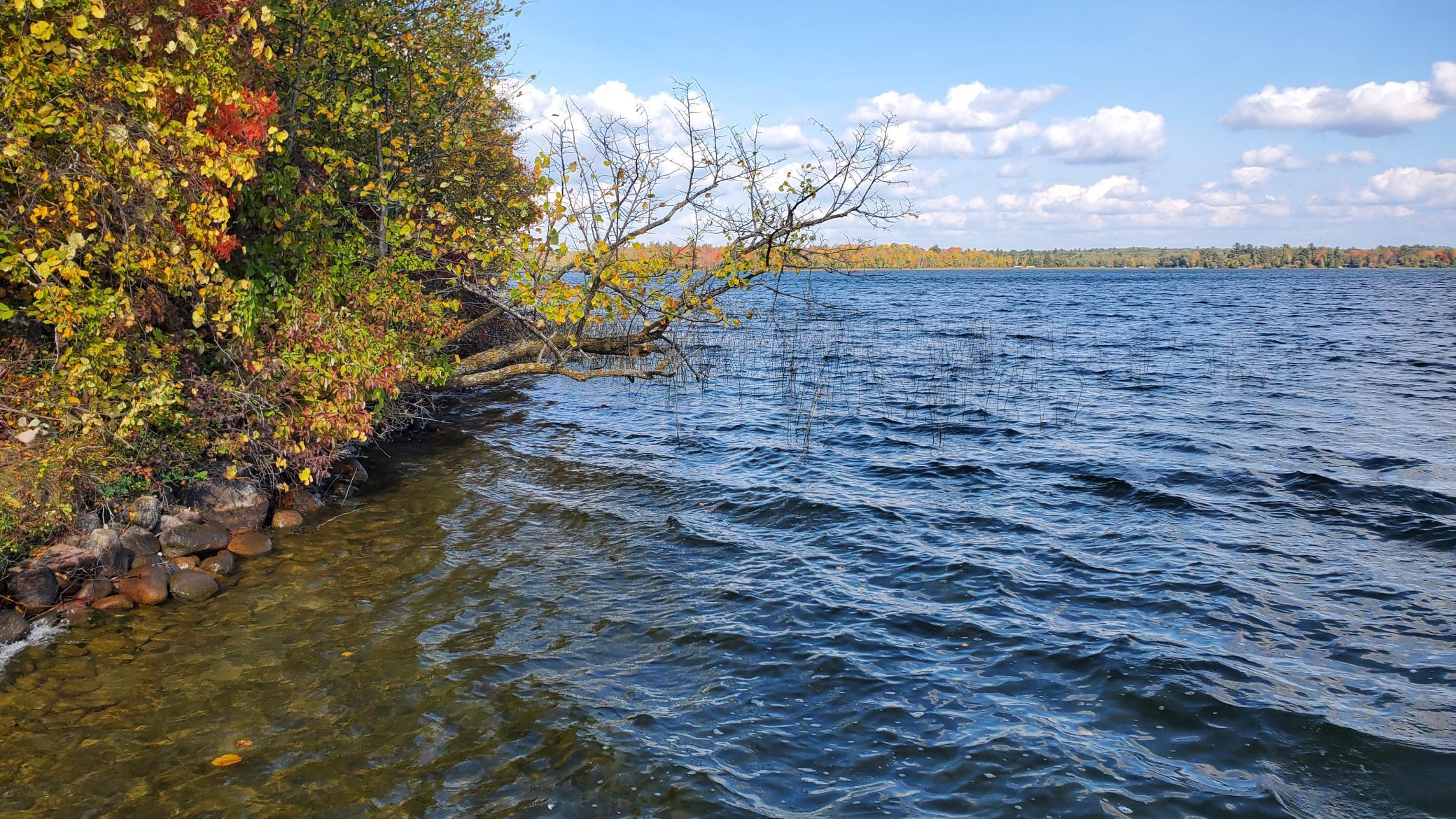 land for sale at 705 28th Street NW in Hackensack, MN (photo 6 of 13)