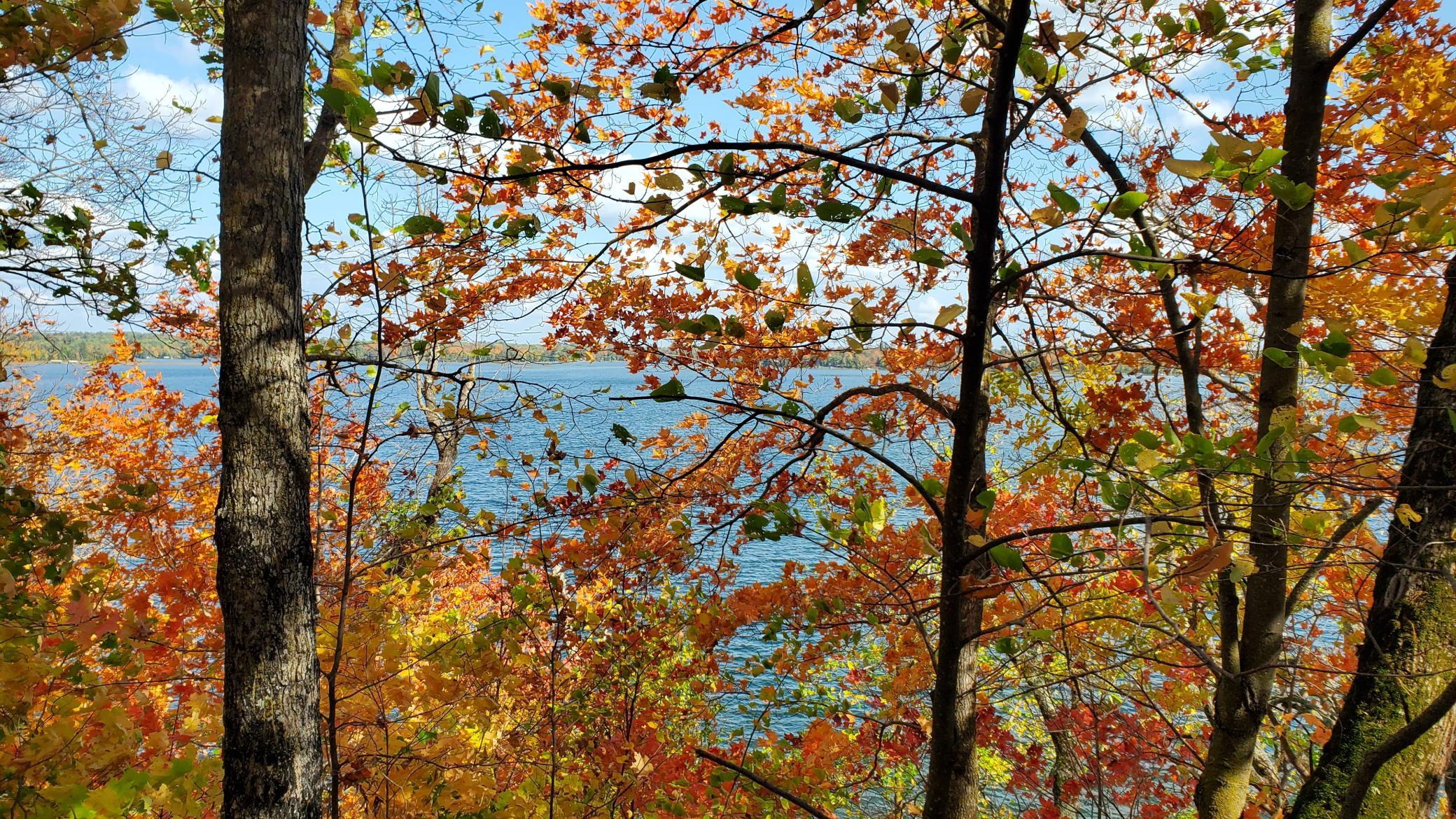land for sale at 705 28th Street NW in Hackensack, MN (photo 9 of 13)