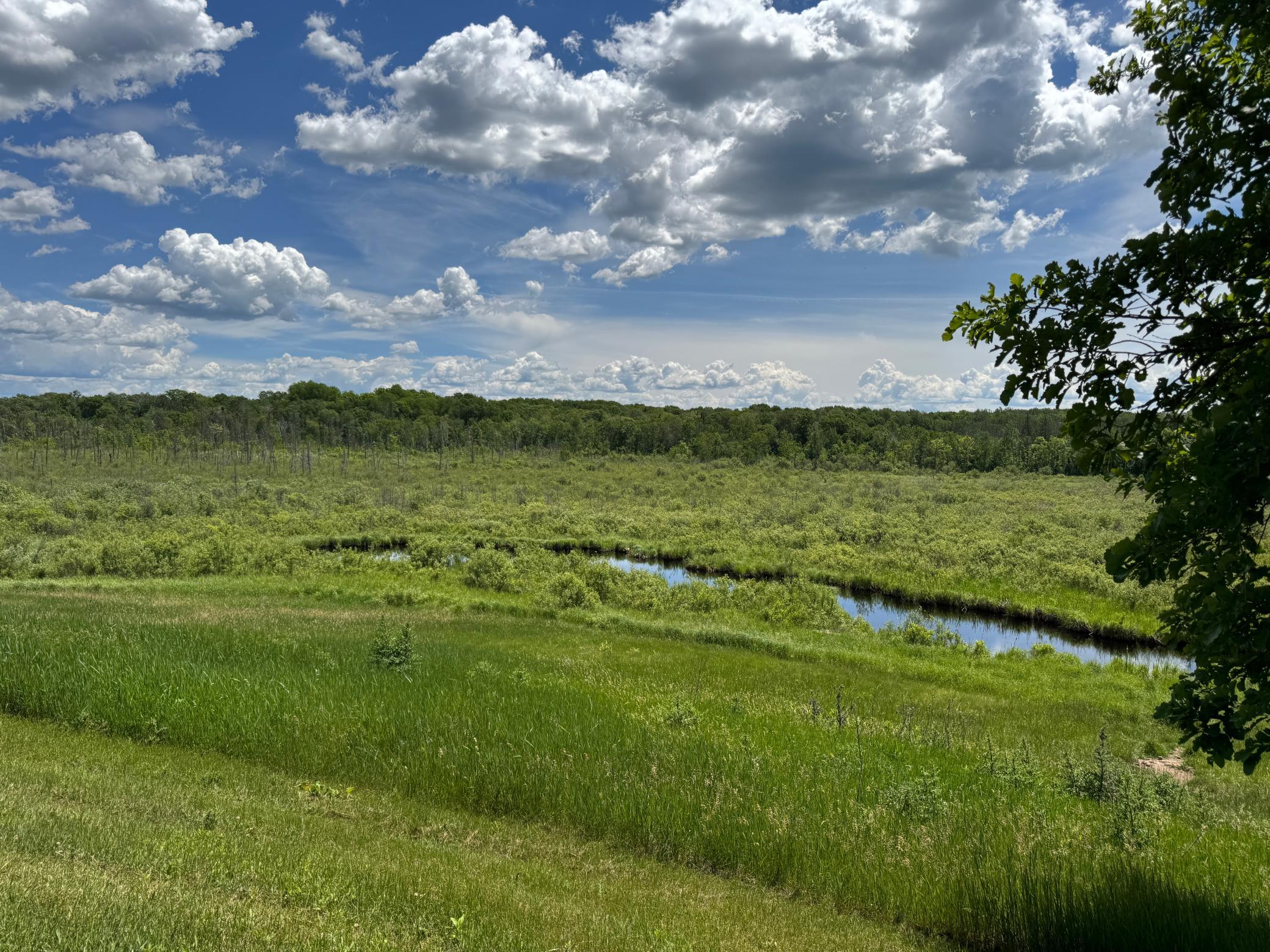 1995 single family home for sale at 31116 350th Avenue in Aitkin, MN — 3 bed, 3 bath (photo 46 of 57)