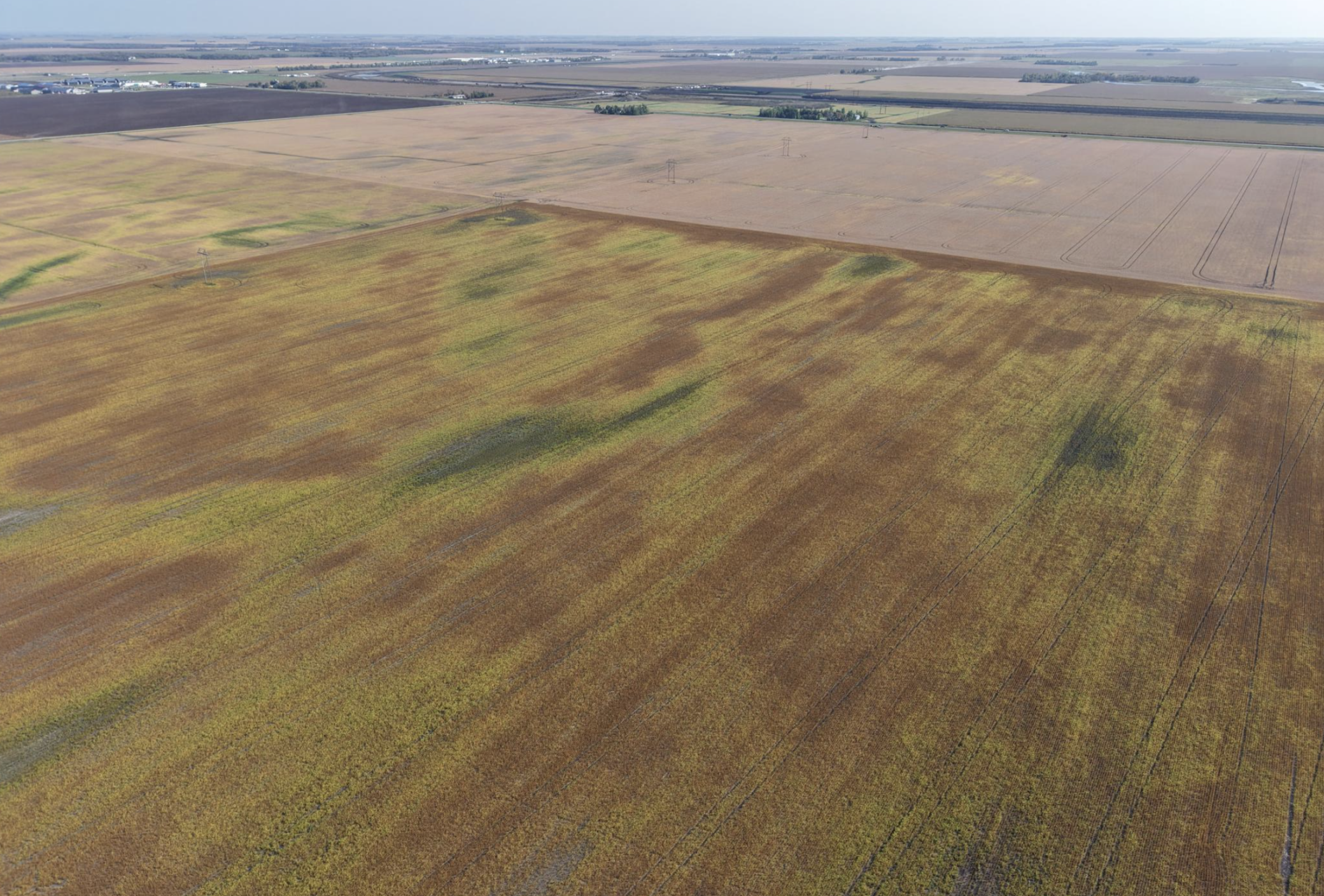 land for sale at 9124 & 9350 57th Street S in Horace, ND (photo 15 of 17)