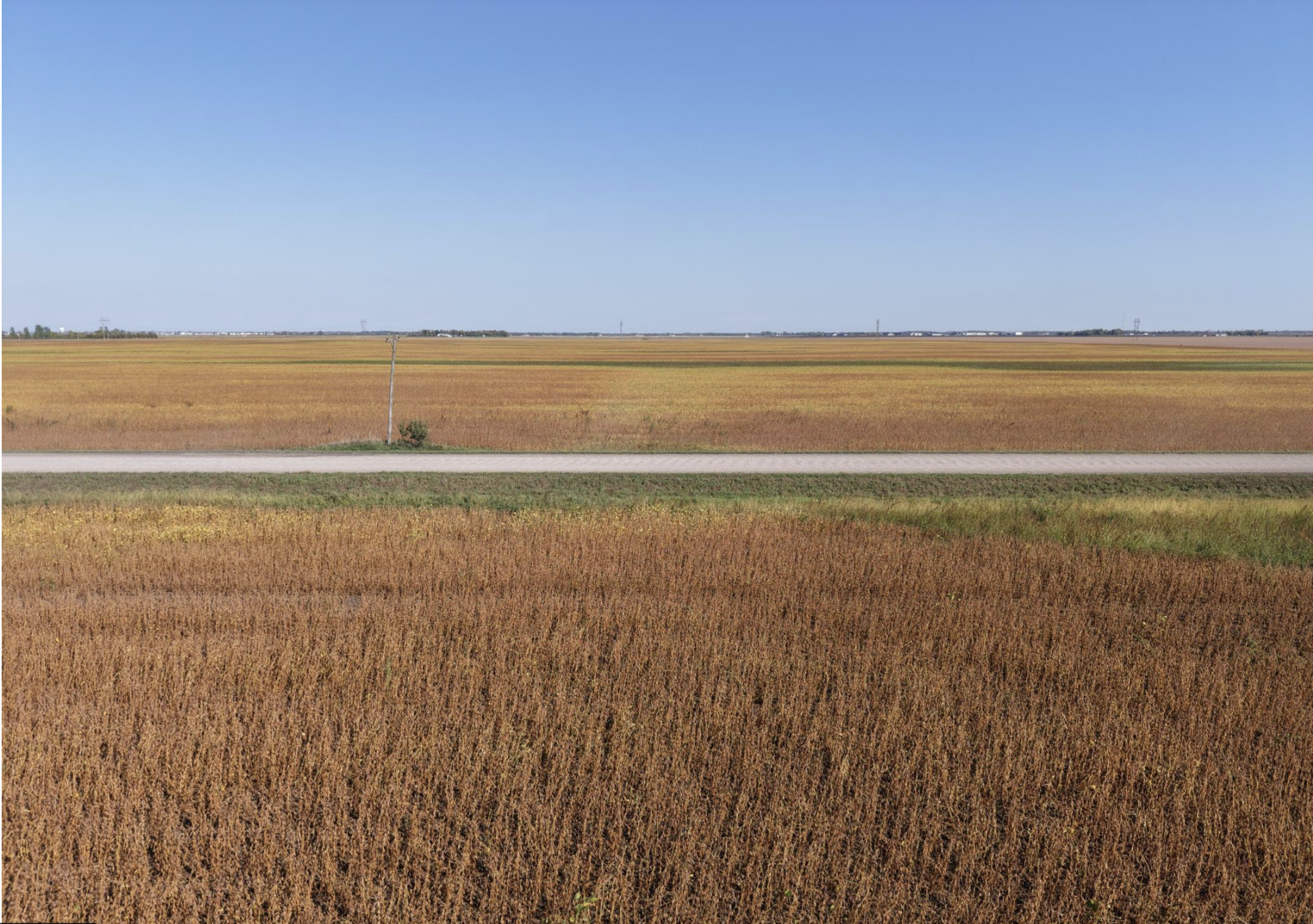 land for sale at 9124 & 9350 57th Street S in Horace, ND (photo 3 of 17)