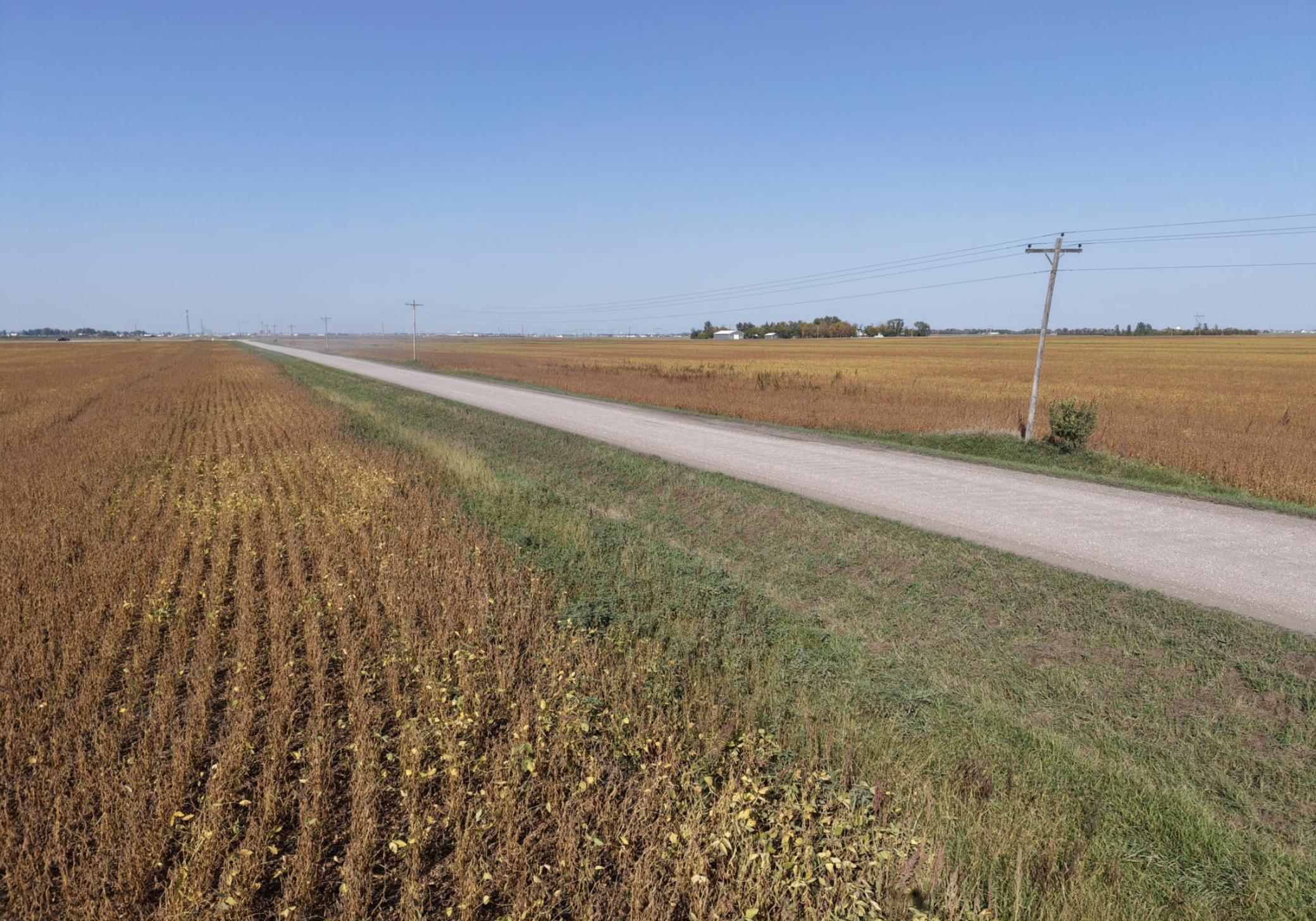 land for sale at 9124 & 9350 57th Street S in Horace, ND (photo 4 of 17)