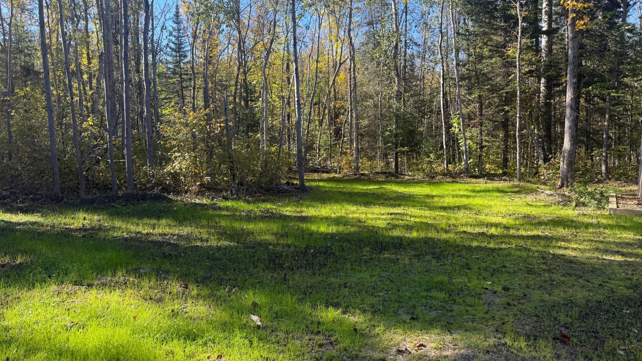 land for sale at Parcel A Sunflower Road in Kelliher, MN (photo 3 of 20)