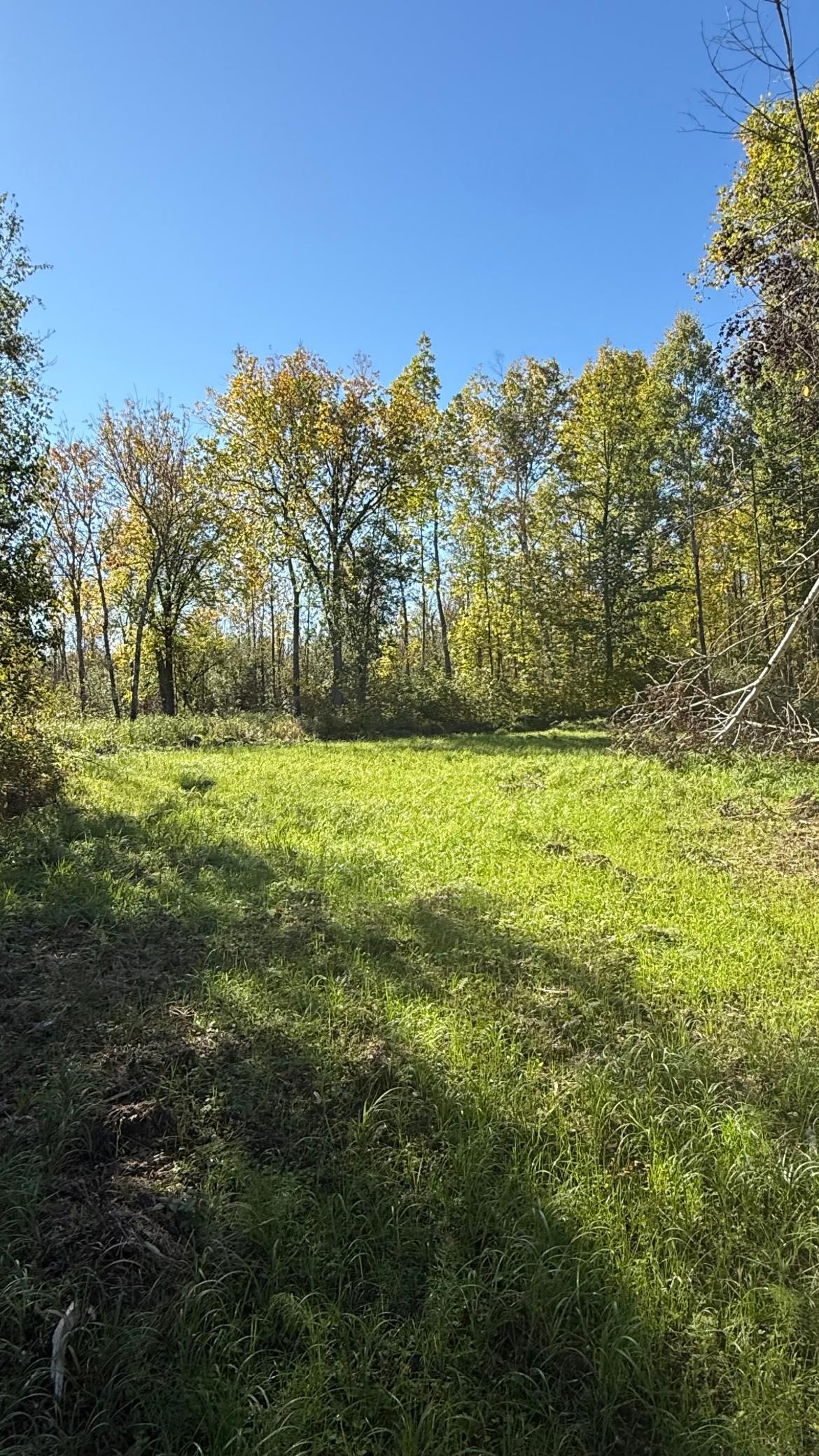 land for sale at Parcel A Sunflower Road in Kelliher, MN (photo 4 of 20)