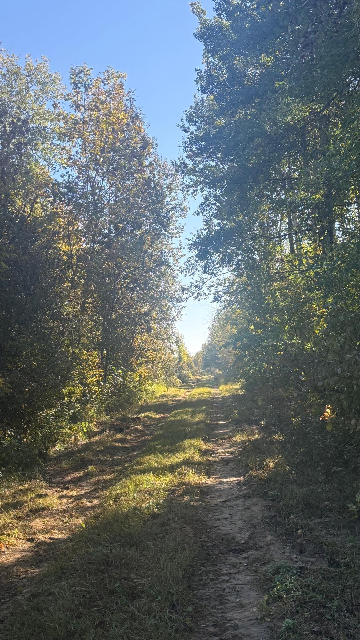 land for sale at Parcel B Sunflower Road in Kelliher, MN