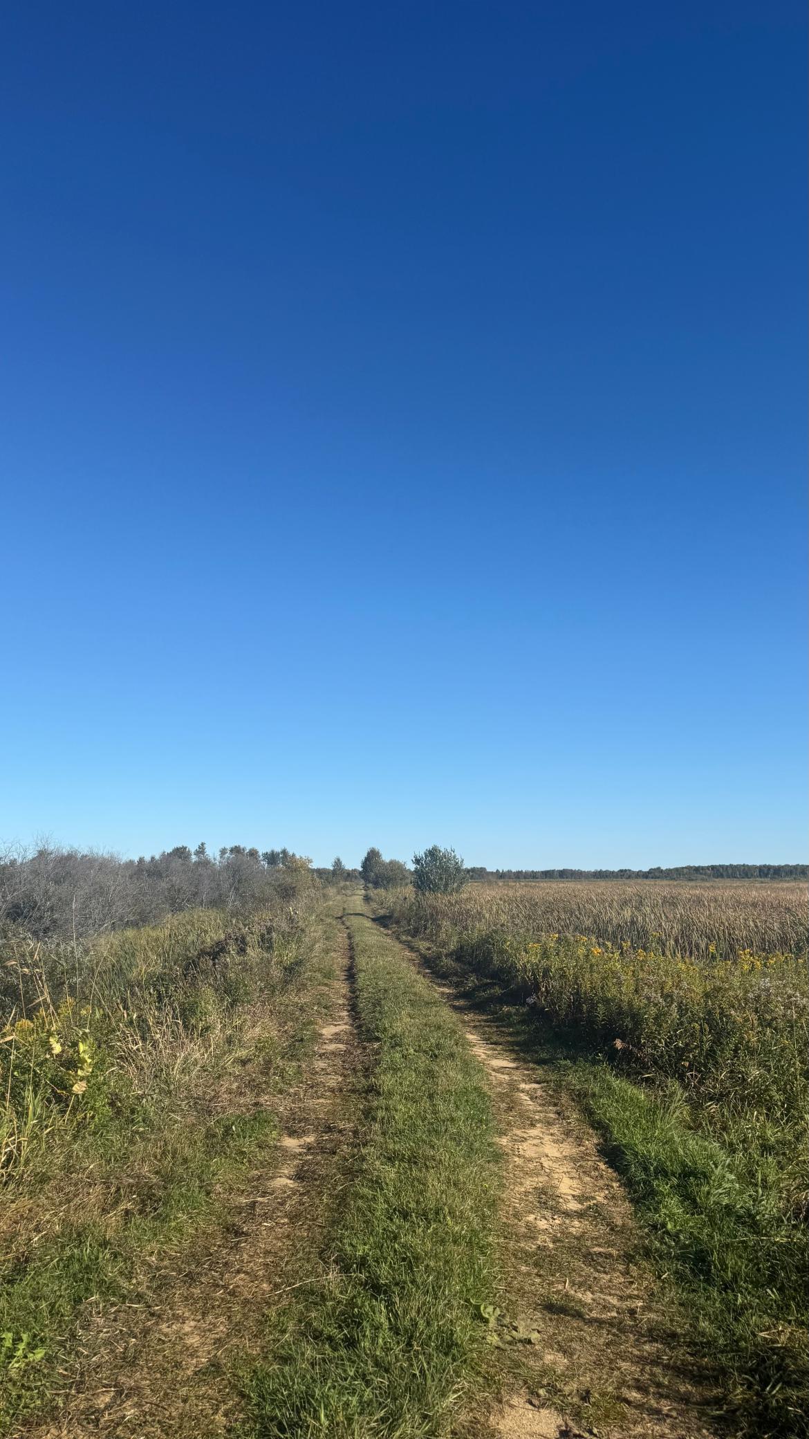 land for sale at Parcel B Sunflower Road in Kelliher, MN (photo 2 of 29)
