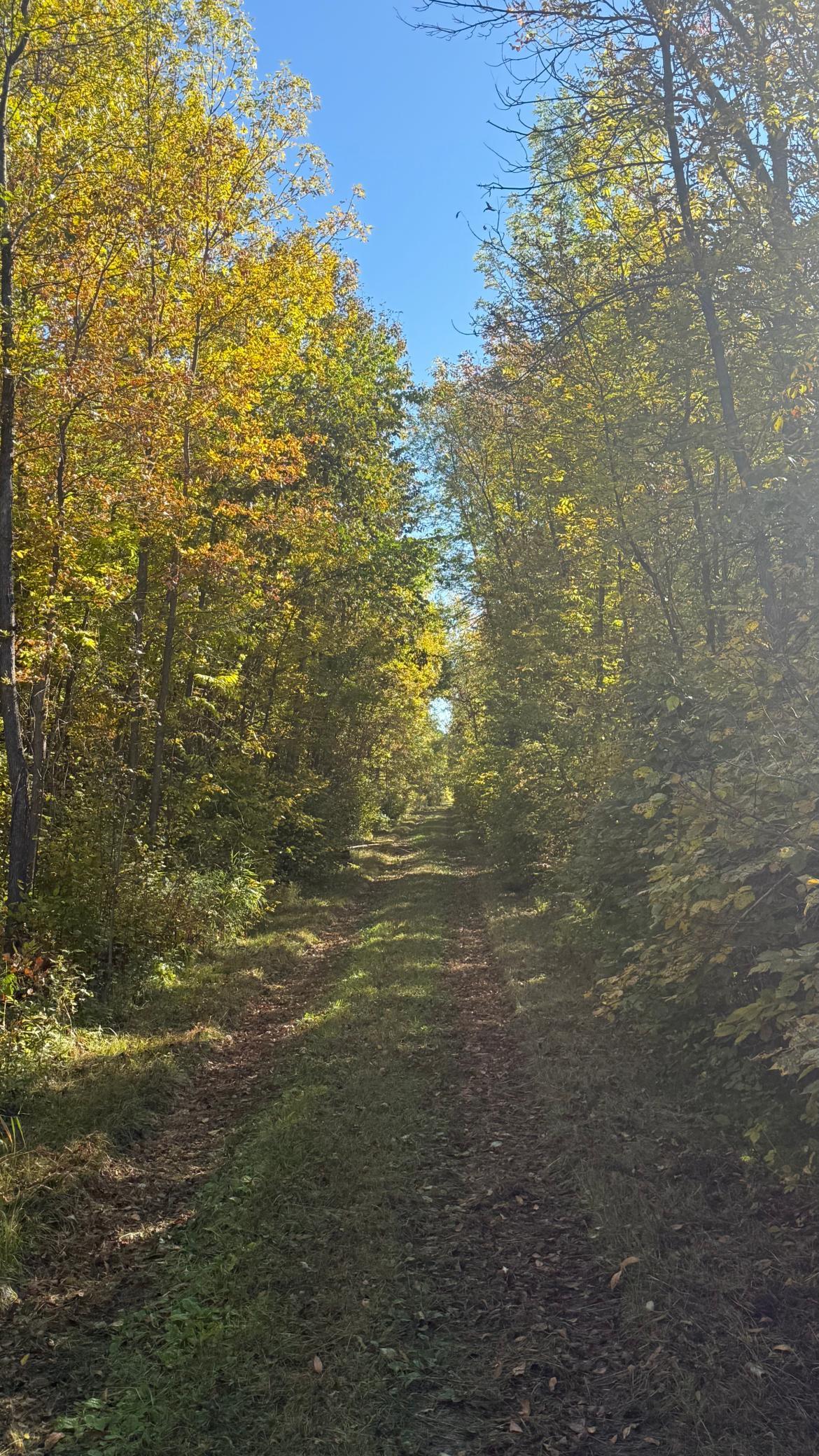 land for sale at Parcel B Sunflower Road in Kelliher, MN (photo 3 of 29)
