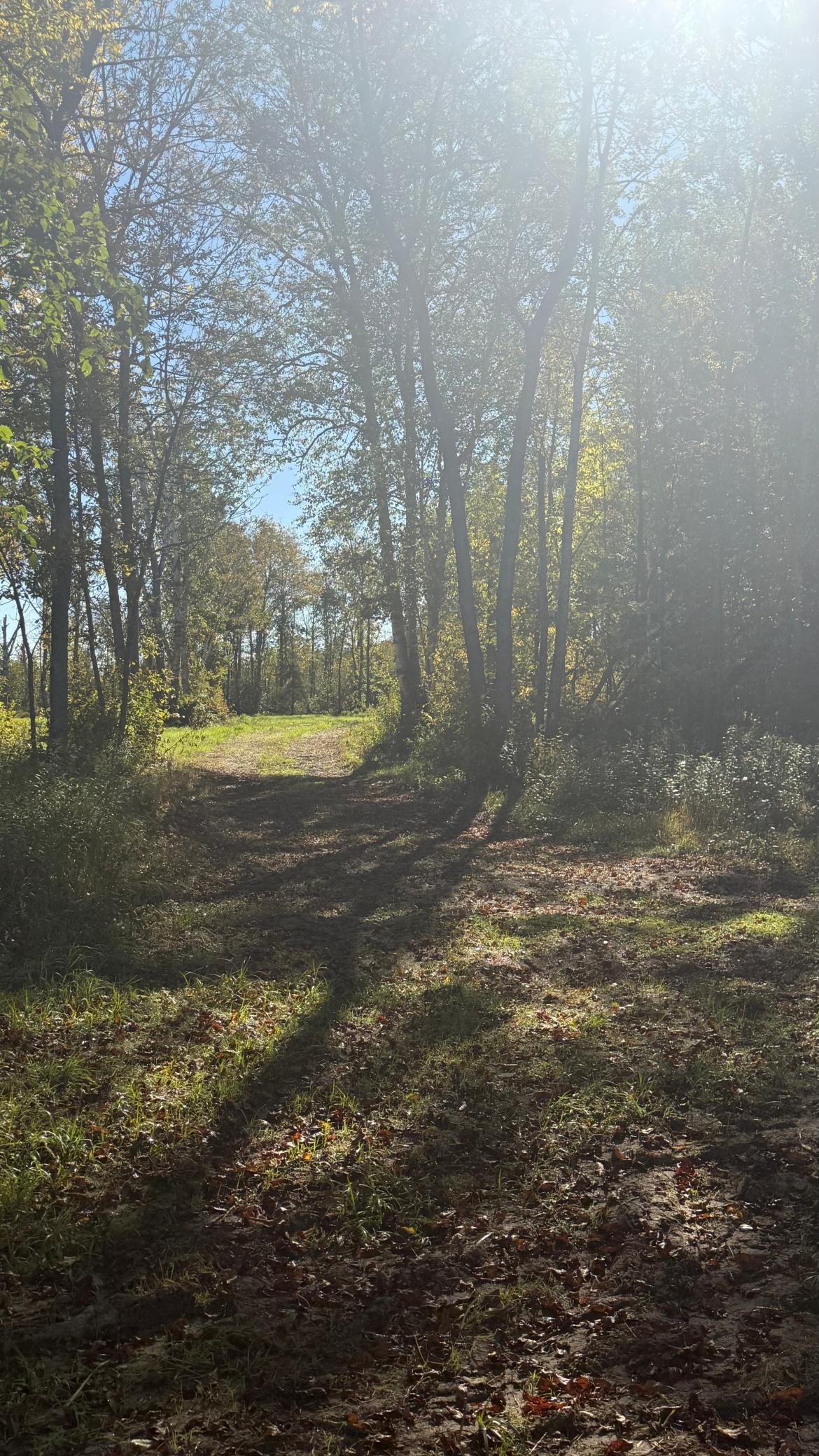 land for sale at Parcel B Sunflower Road in Kelliher, MN (photo 4 of 29)
