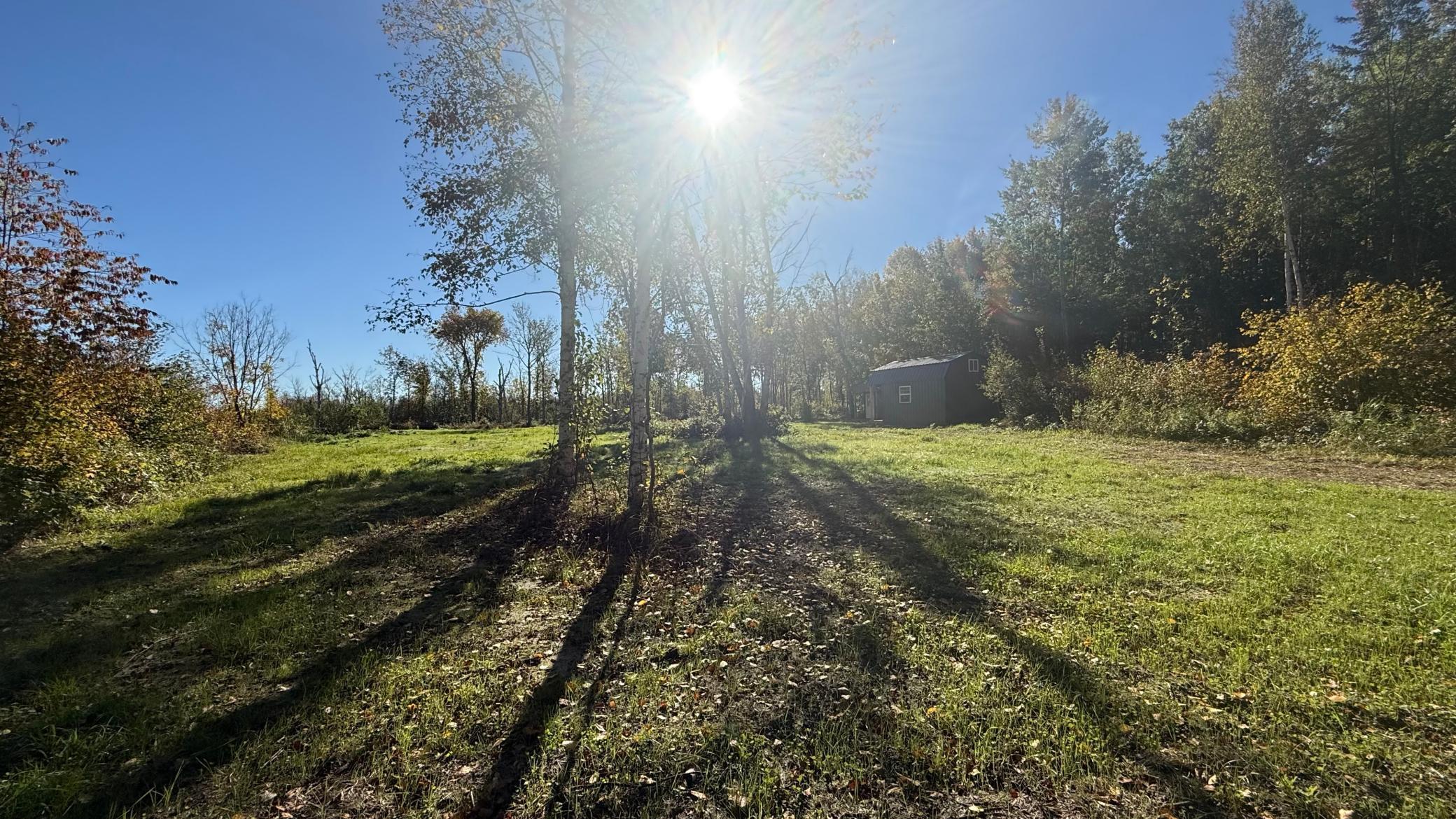 land for sale at Parcel B Sunflower Road in Kelliher, MN (photo 5 of 29)