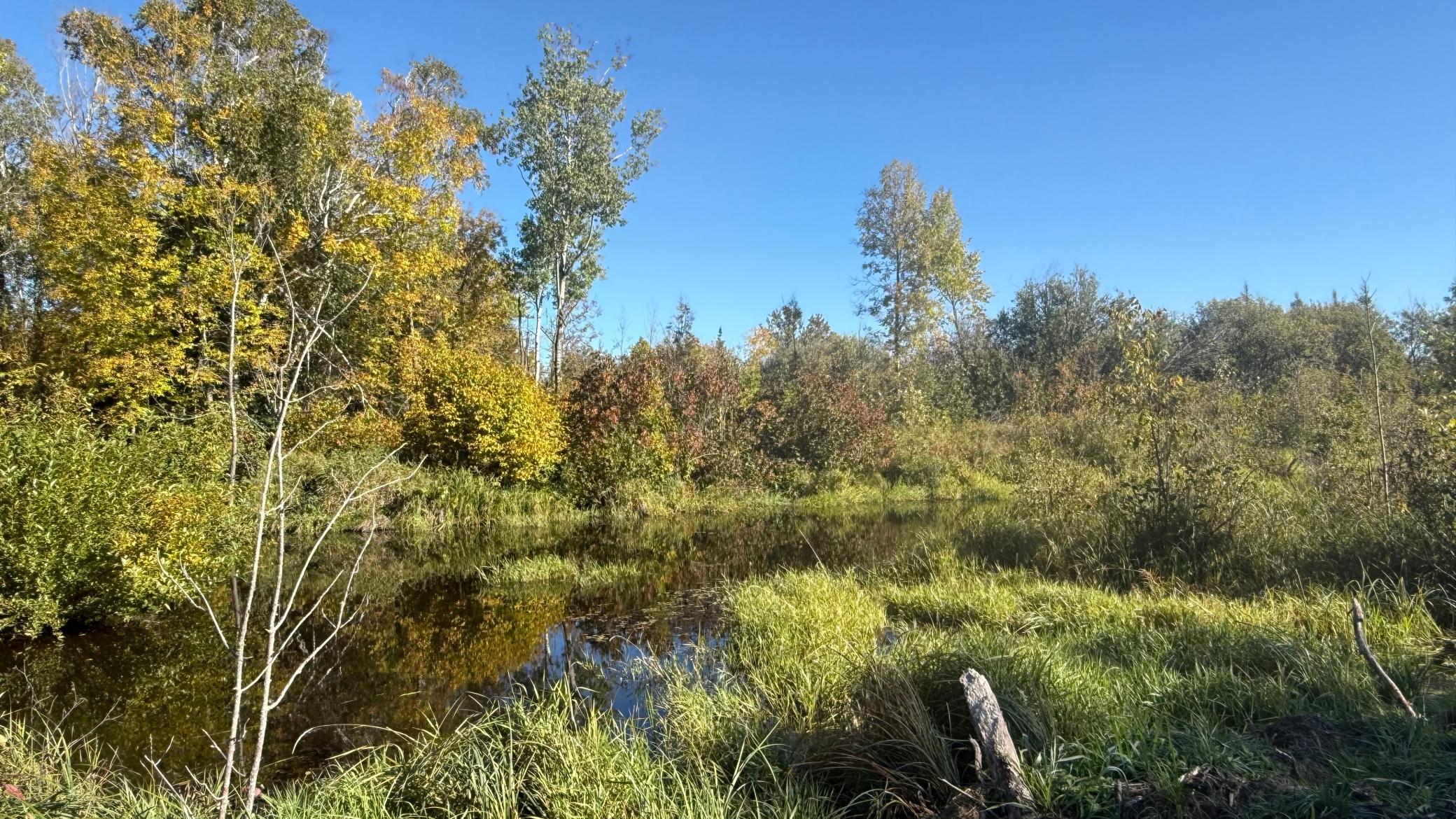 land for sale at Parcel B Sunflower Road in Kelliher, MN (photo 6 of 29)