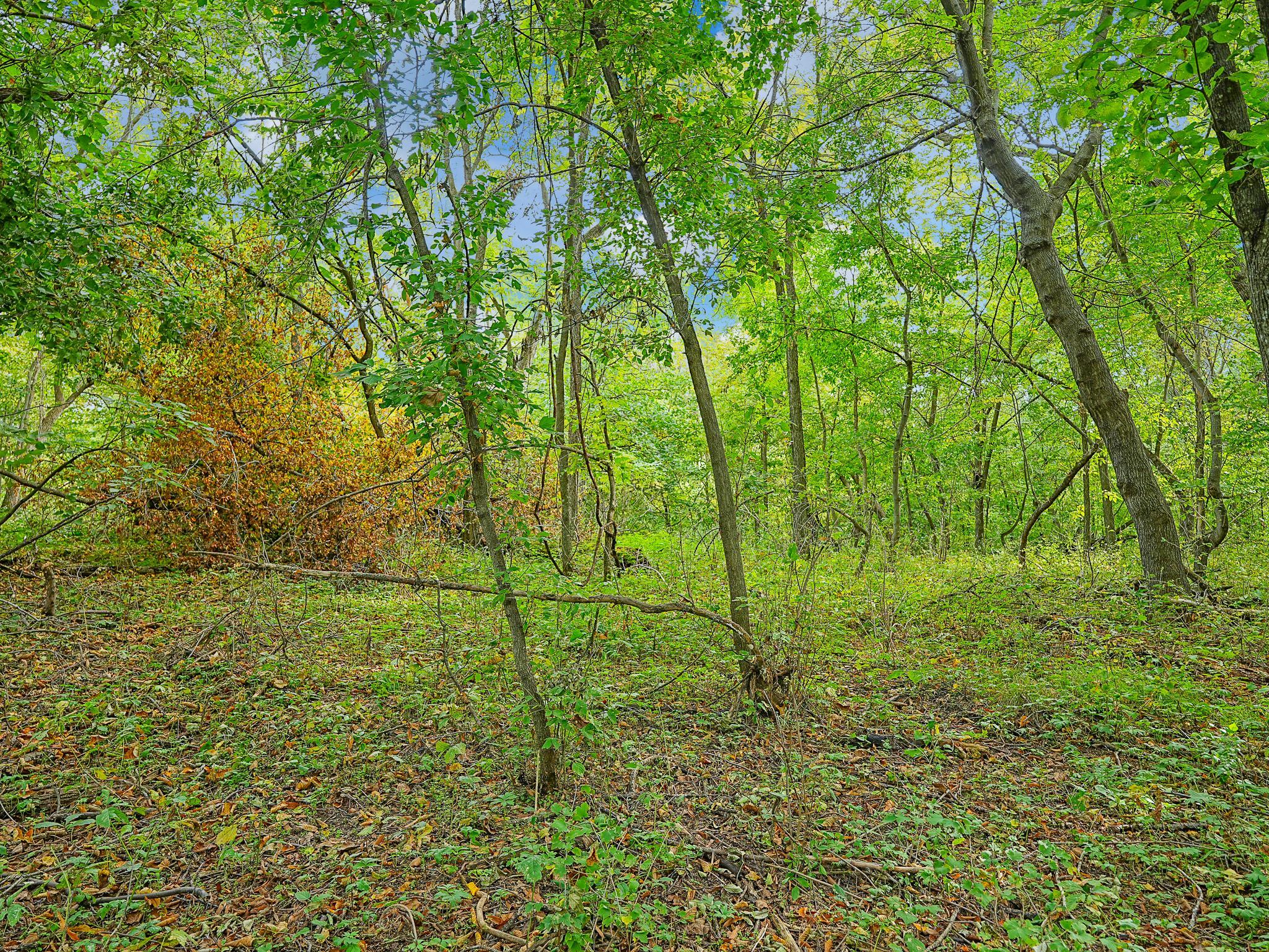 land for sale at 455XX Plentywood Rd in Perham, MN (photo 11 of 15)