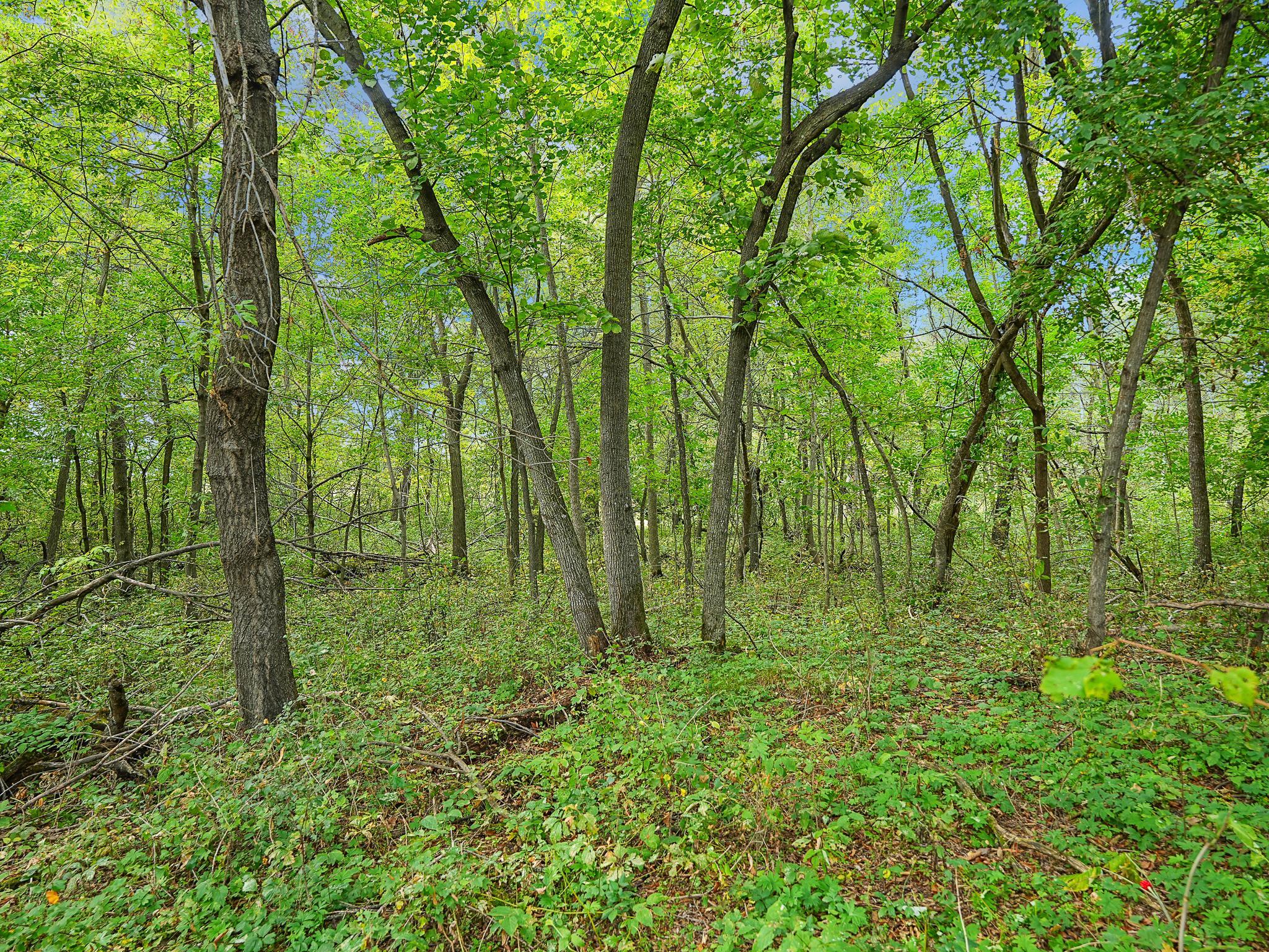 land for sale at 455XX Plentywood Rd in Perham, MN (photo 12 of 15)