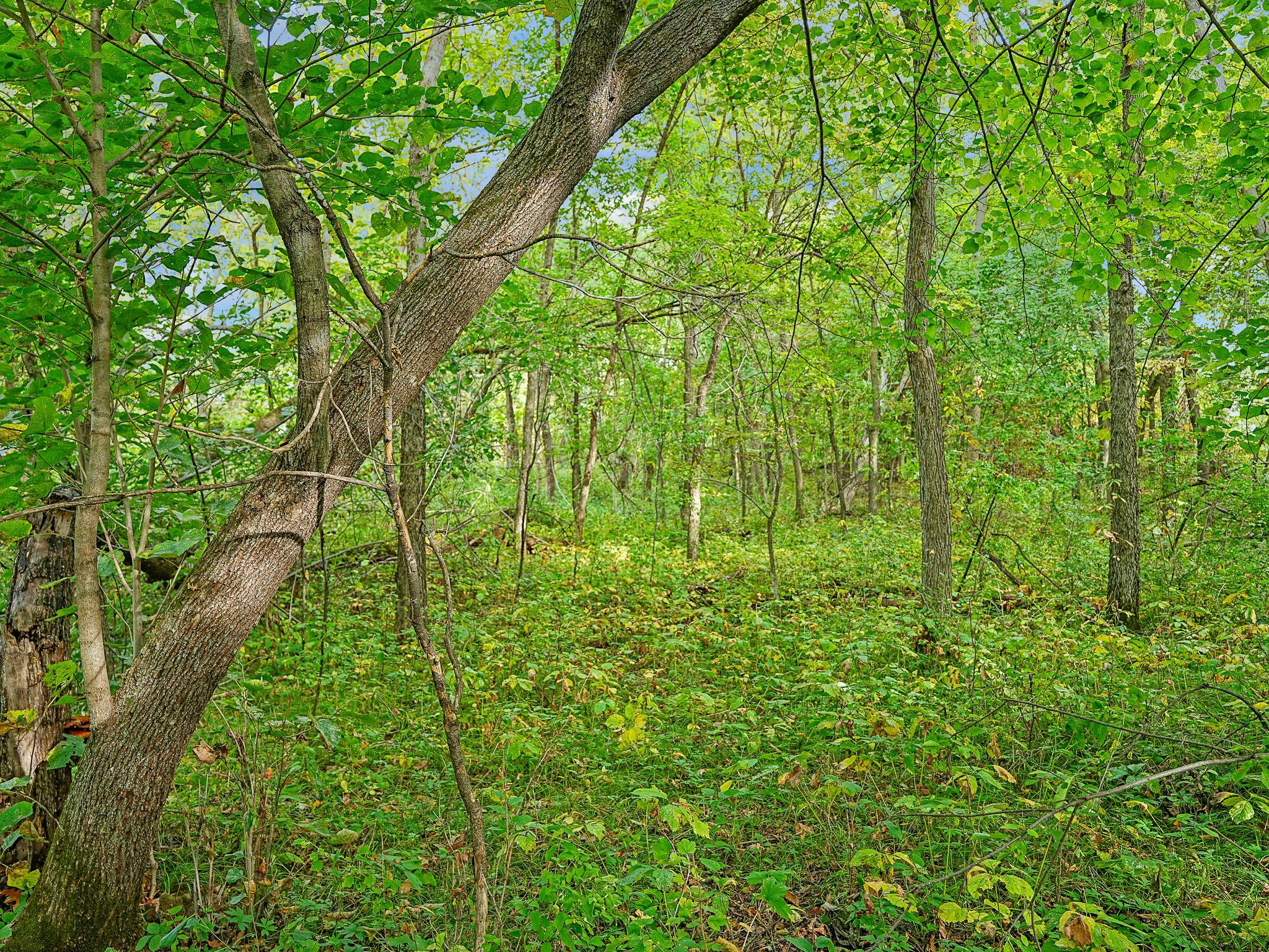 land for sale at 455XX Plentywood Rd in Perham, MN (photo 9 of 15)