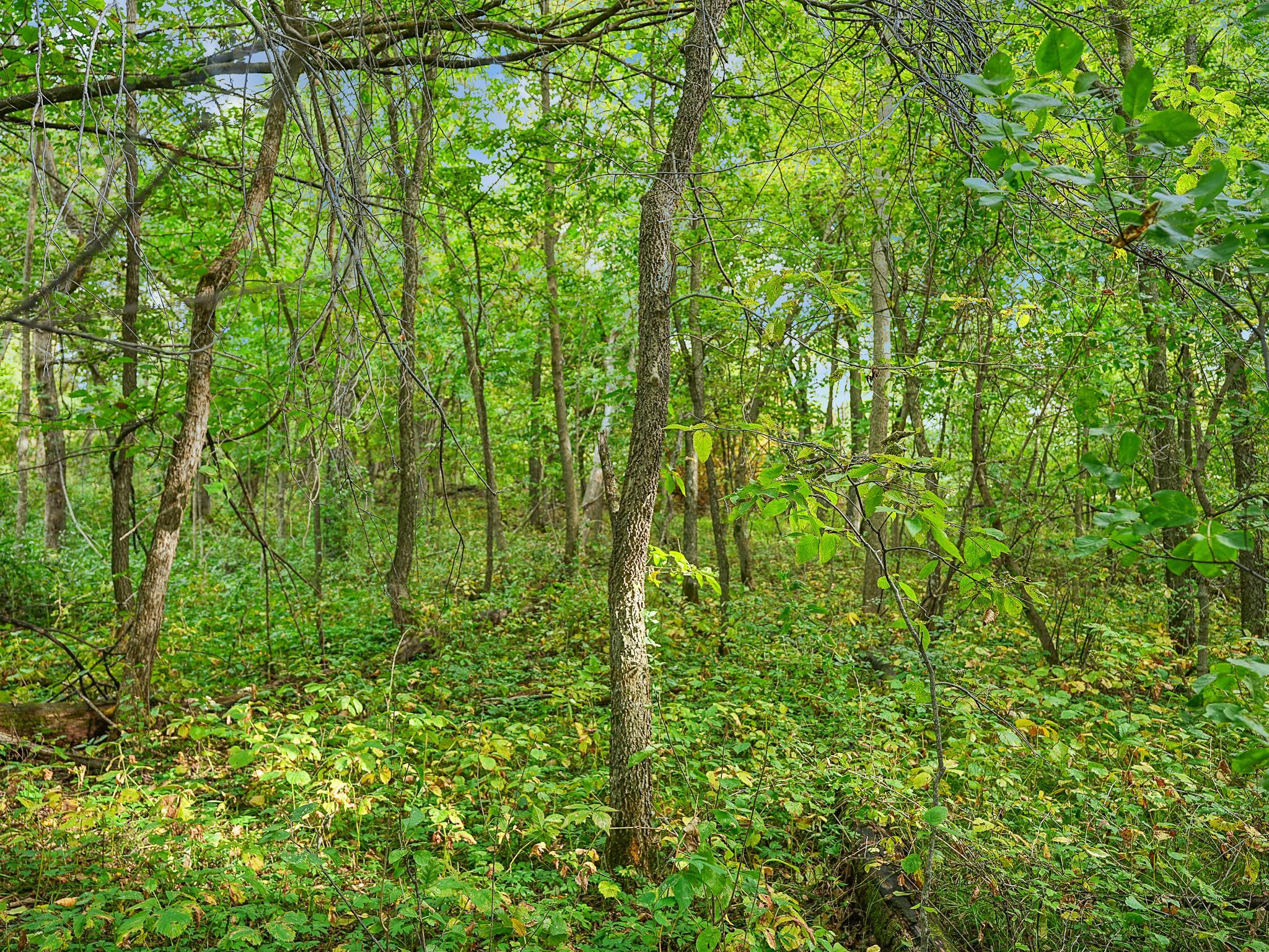 land for sale at 455XX Plentywood Rd in Perham, MN (photo 10 of 15)