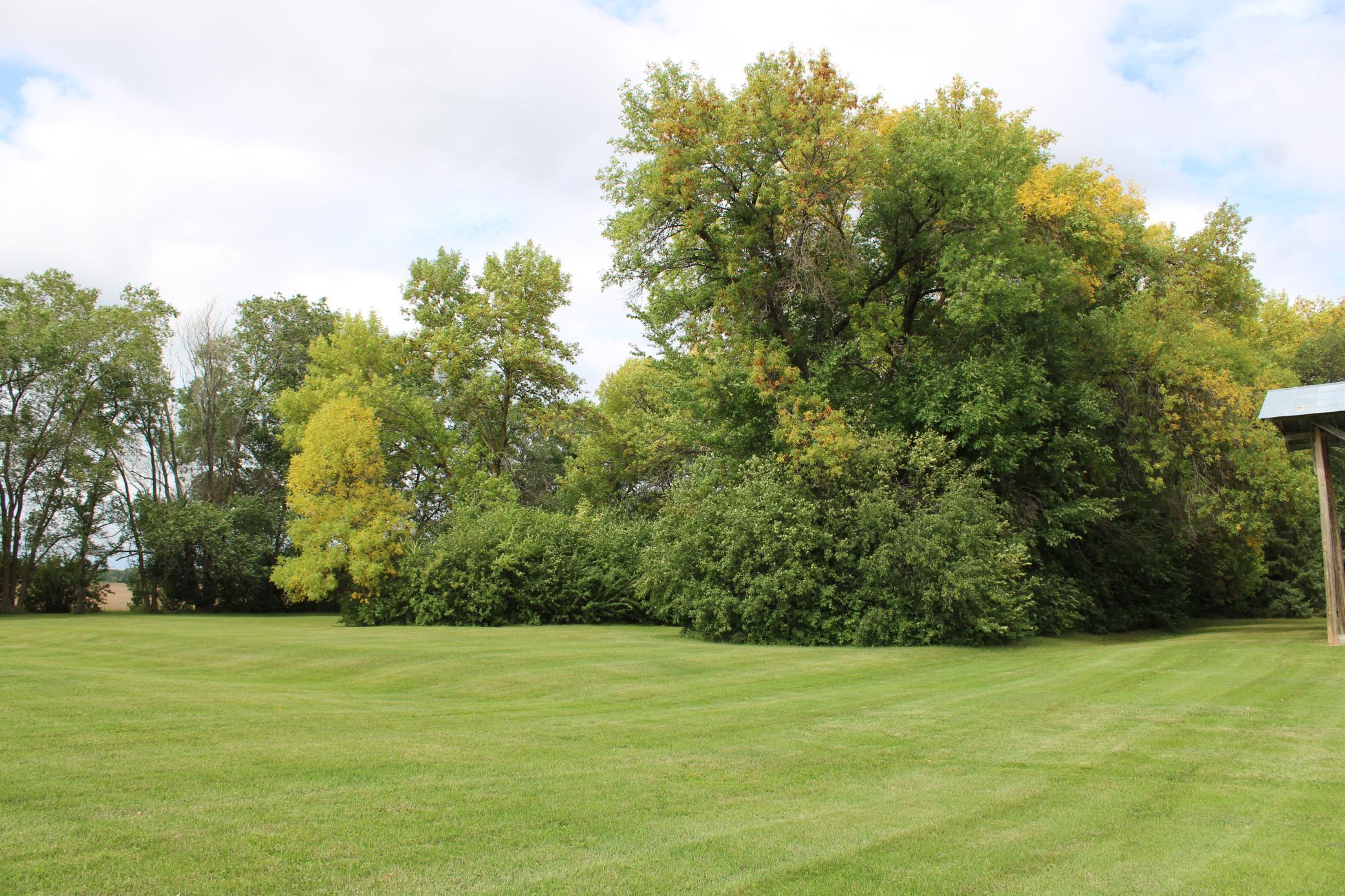 1930 single family home for sale at 18121 120th Avenue NE in Thief River Falls, MN — 3 bed, 1 bath (photo 34 of 41)