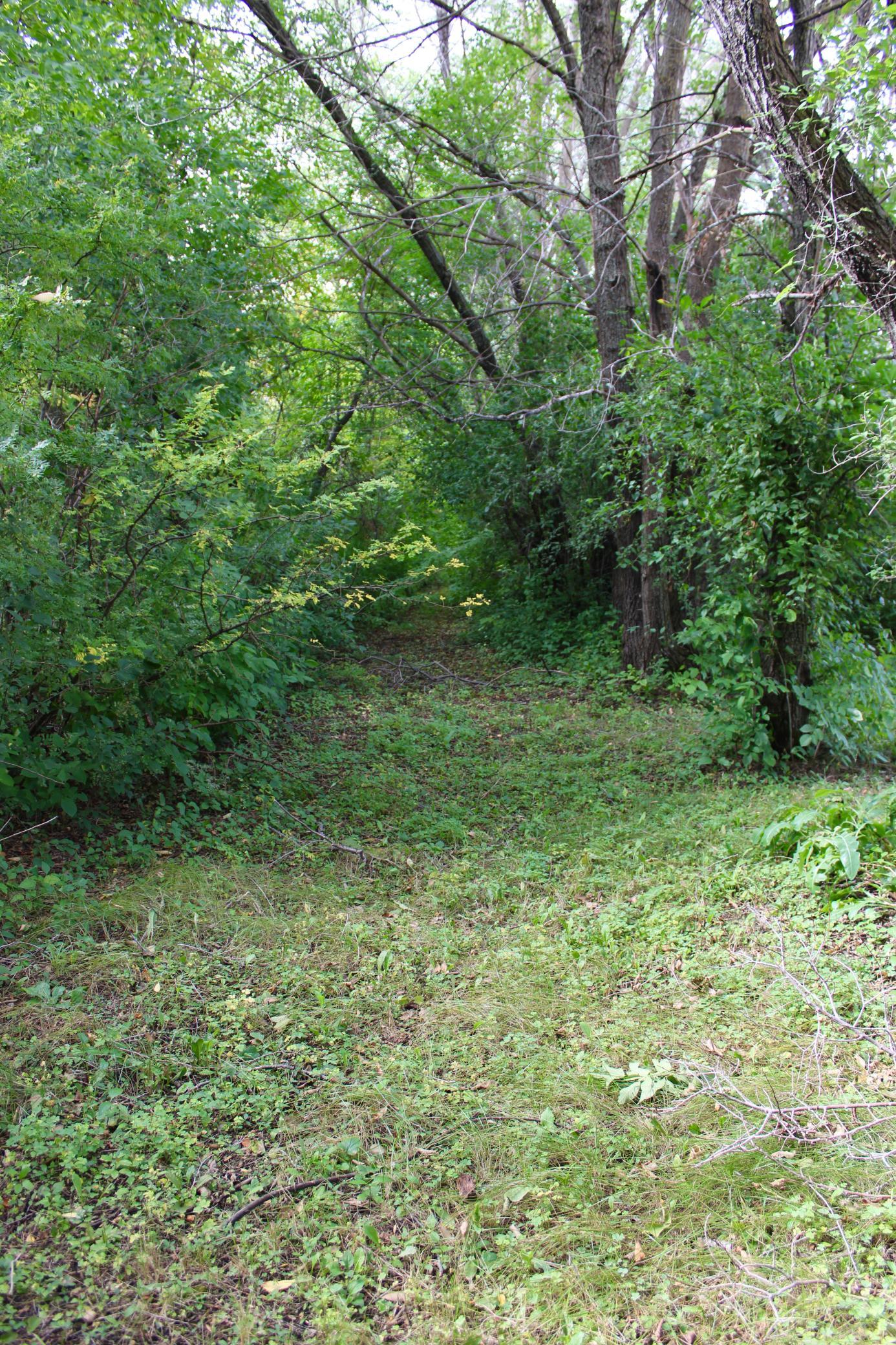 1930 single family home for sale at 18121 120th Avenue NE in Thief River Falls, MN — 3 bed, 1 bath (photo 39 of 41)