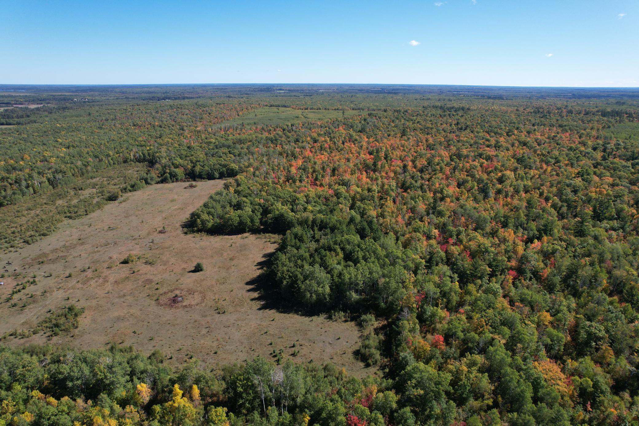 land for sale at TBD- 269th Avenue in Laporte, MN