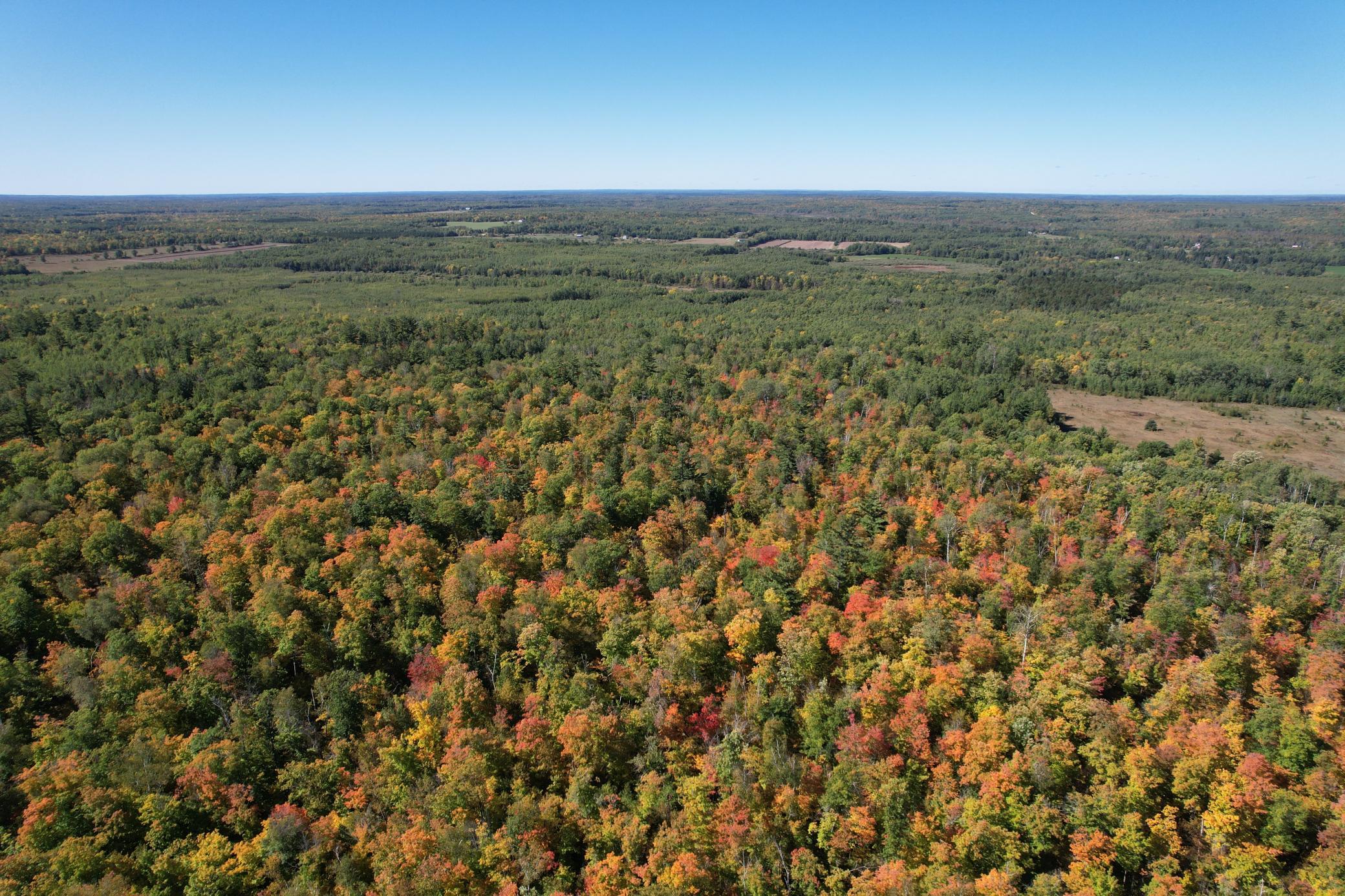 land for sale at TBD- 269th Avenue in Laporte, MN (photo 11 of 44)