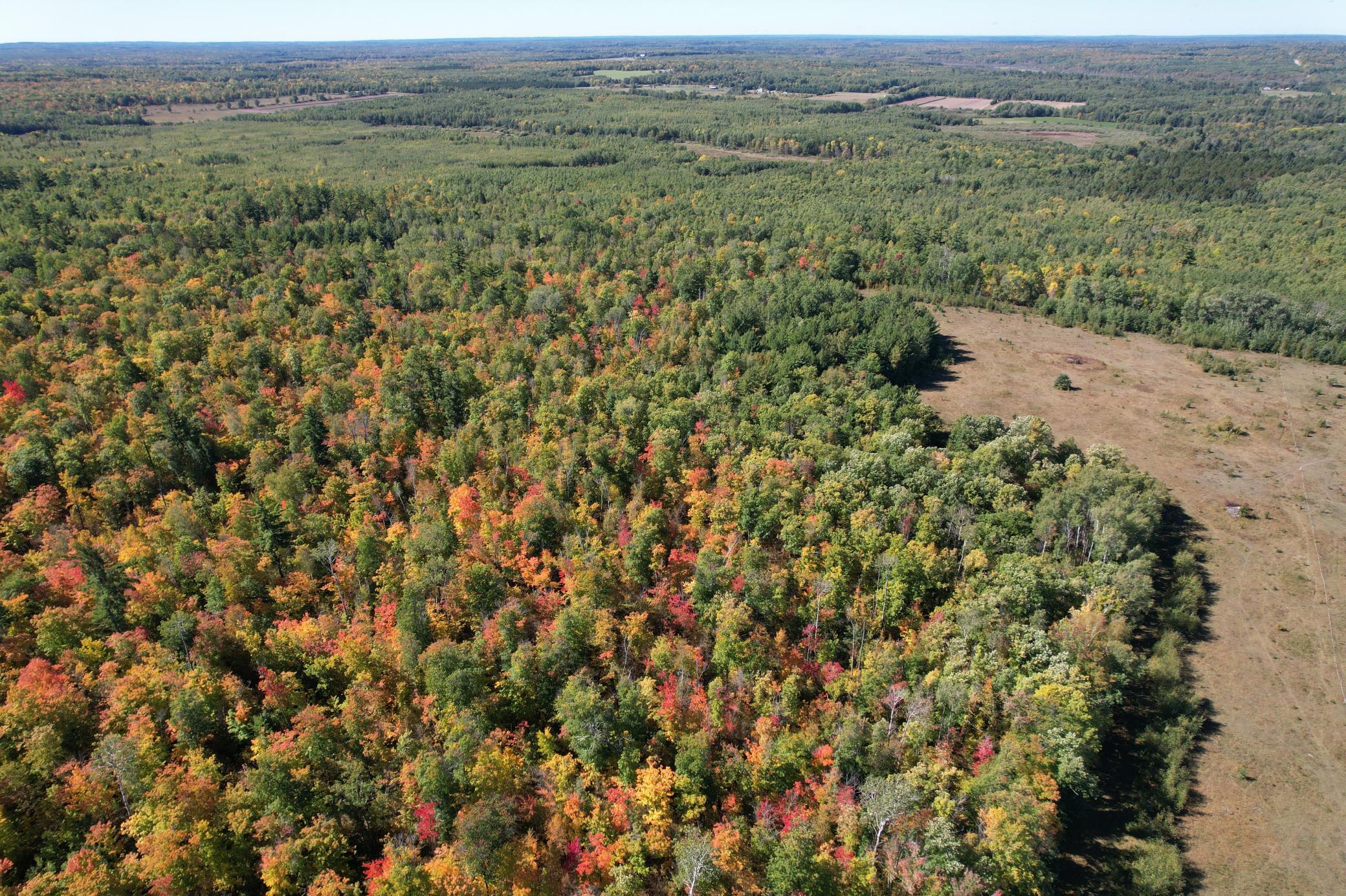 land for sale at TBD- 269th Avenue in Laporte, MN (photo 12 of 44)