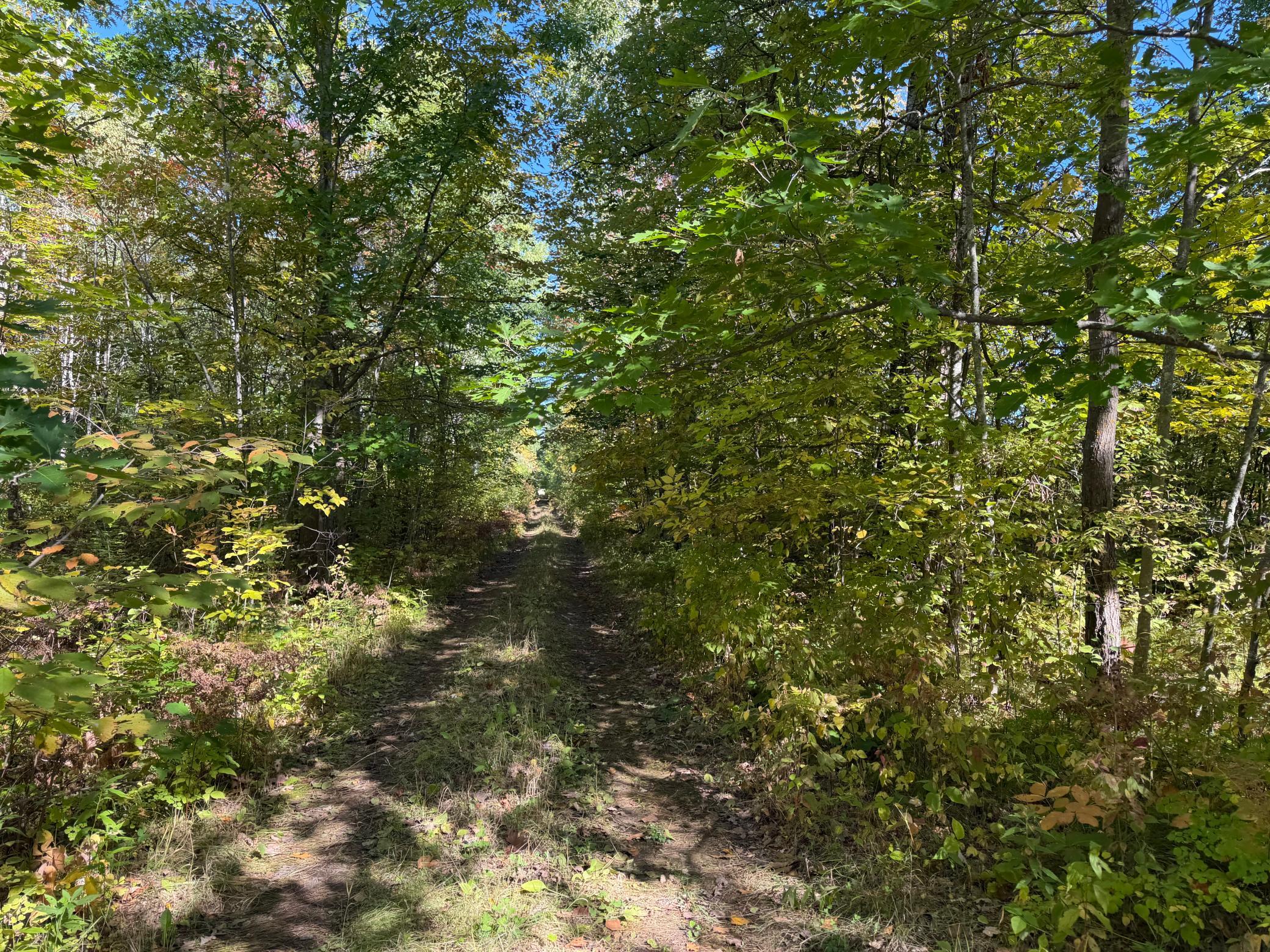 land for sale at TBD- 269th Avenue in Laporte, MN (photo 13 of 44)