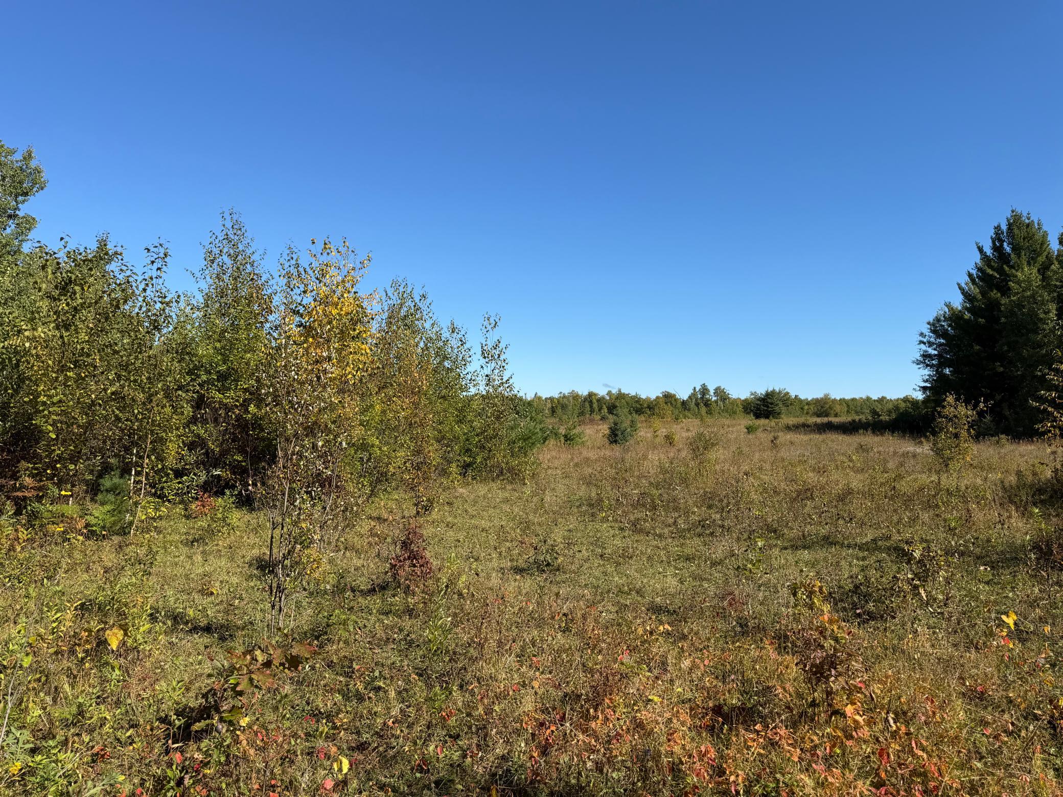 land for sale at TBD- 269th Avenue in Laporte, MN (photo 14 of 44)
