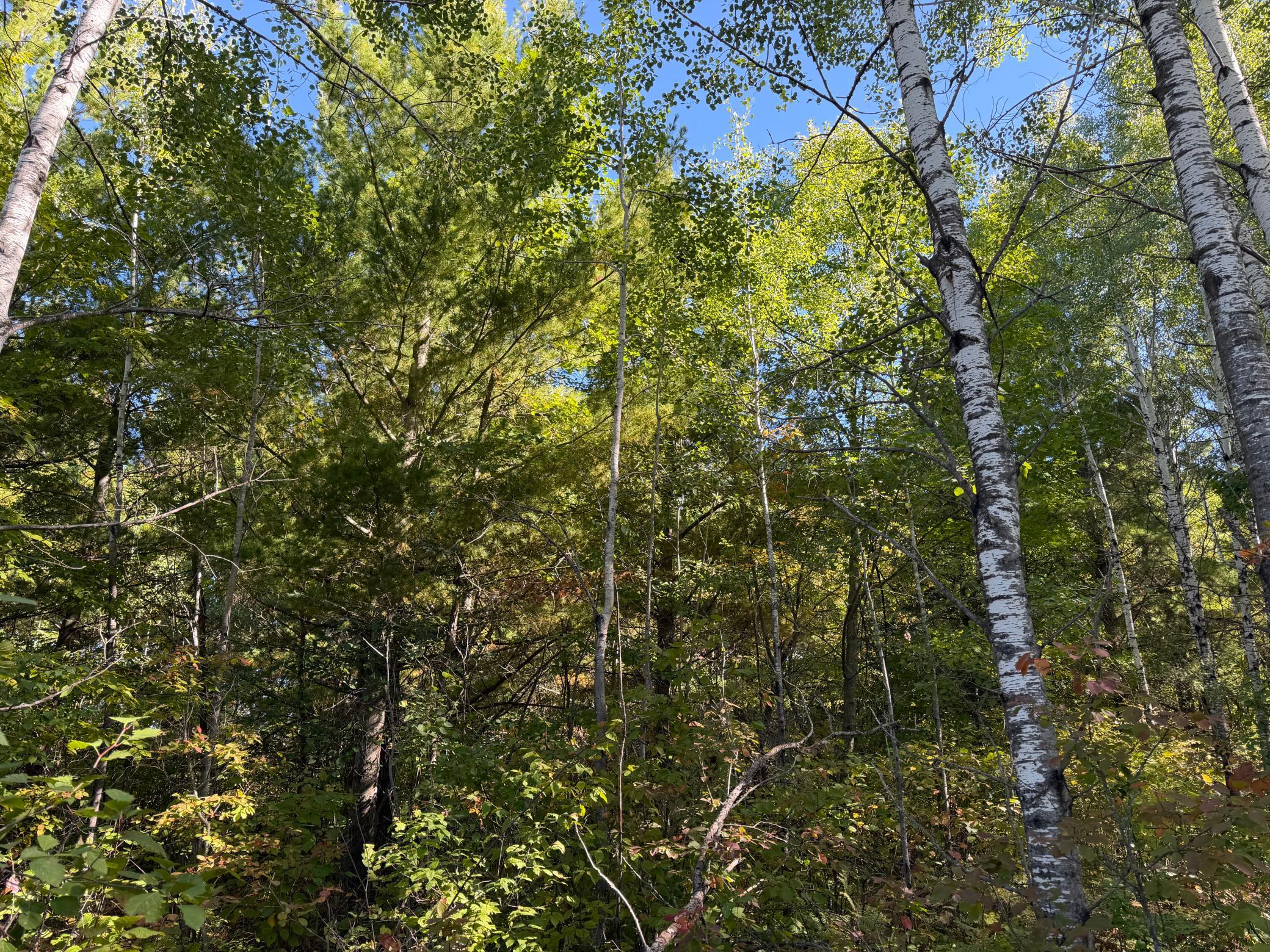 land for sale at TBD- 269th Avenue in Laporte, MN (photo 16 of 44)