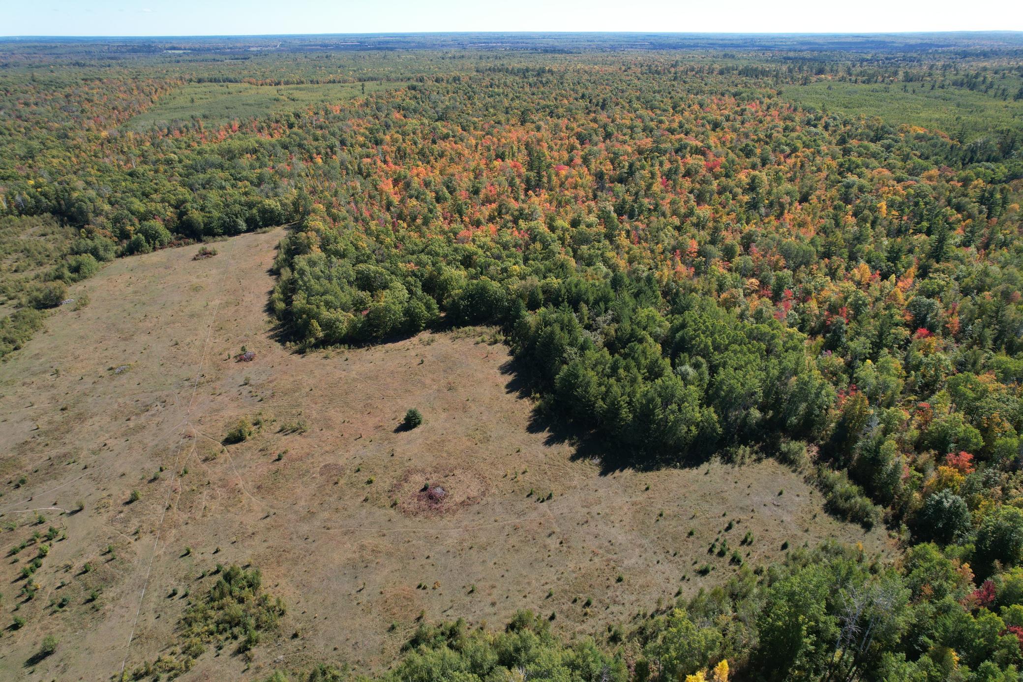 land for sale at TBD- 269th Avenue in Laporte, MN (photo 4 of 44)