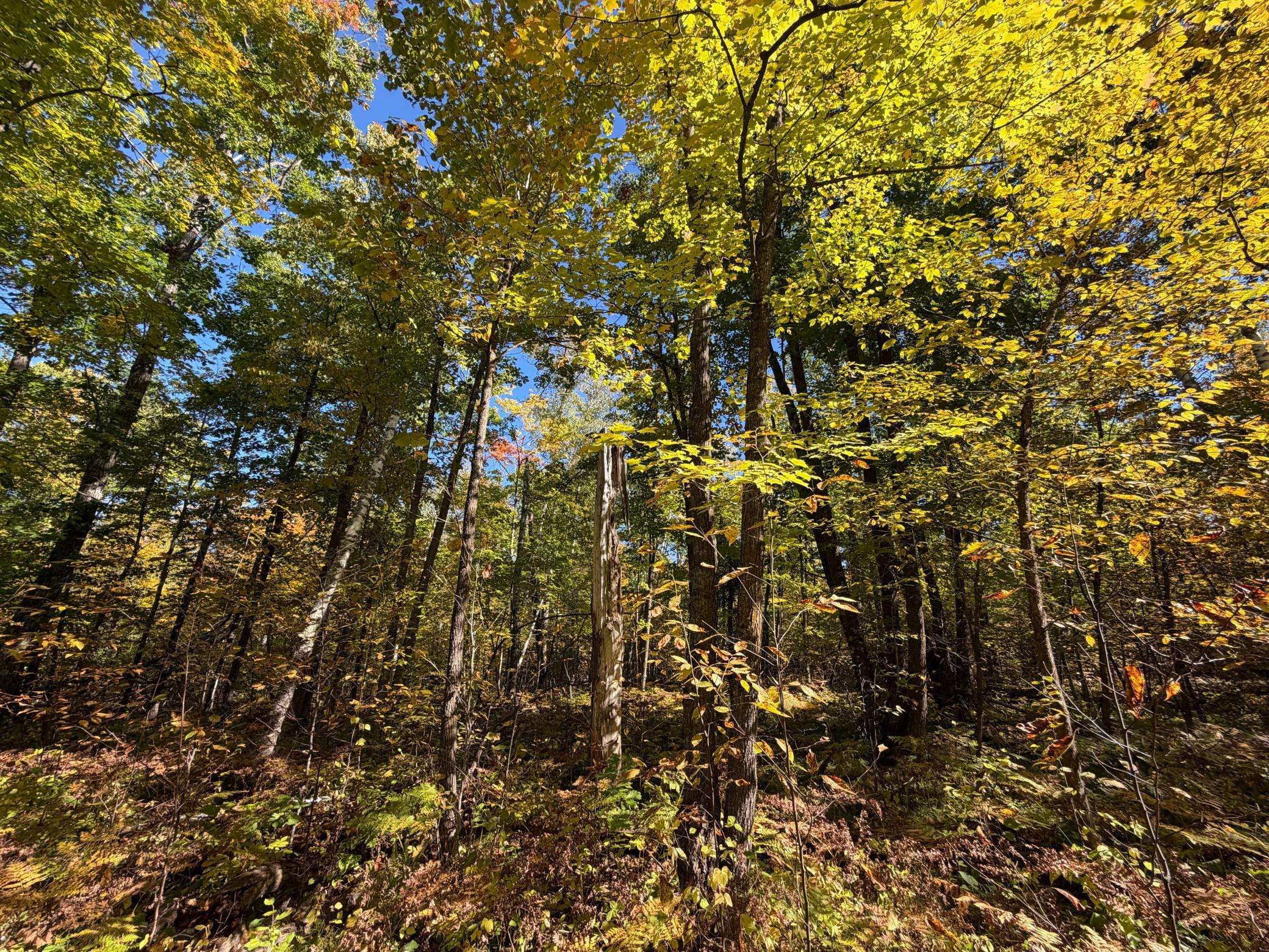 land for sale at TBD- 269th Avenue in Laporte, MN (photo 34 of 44)