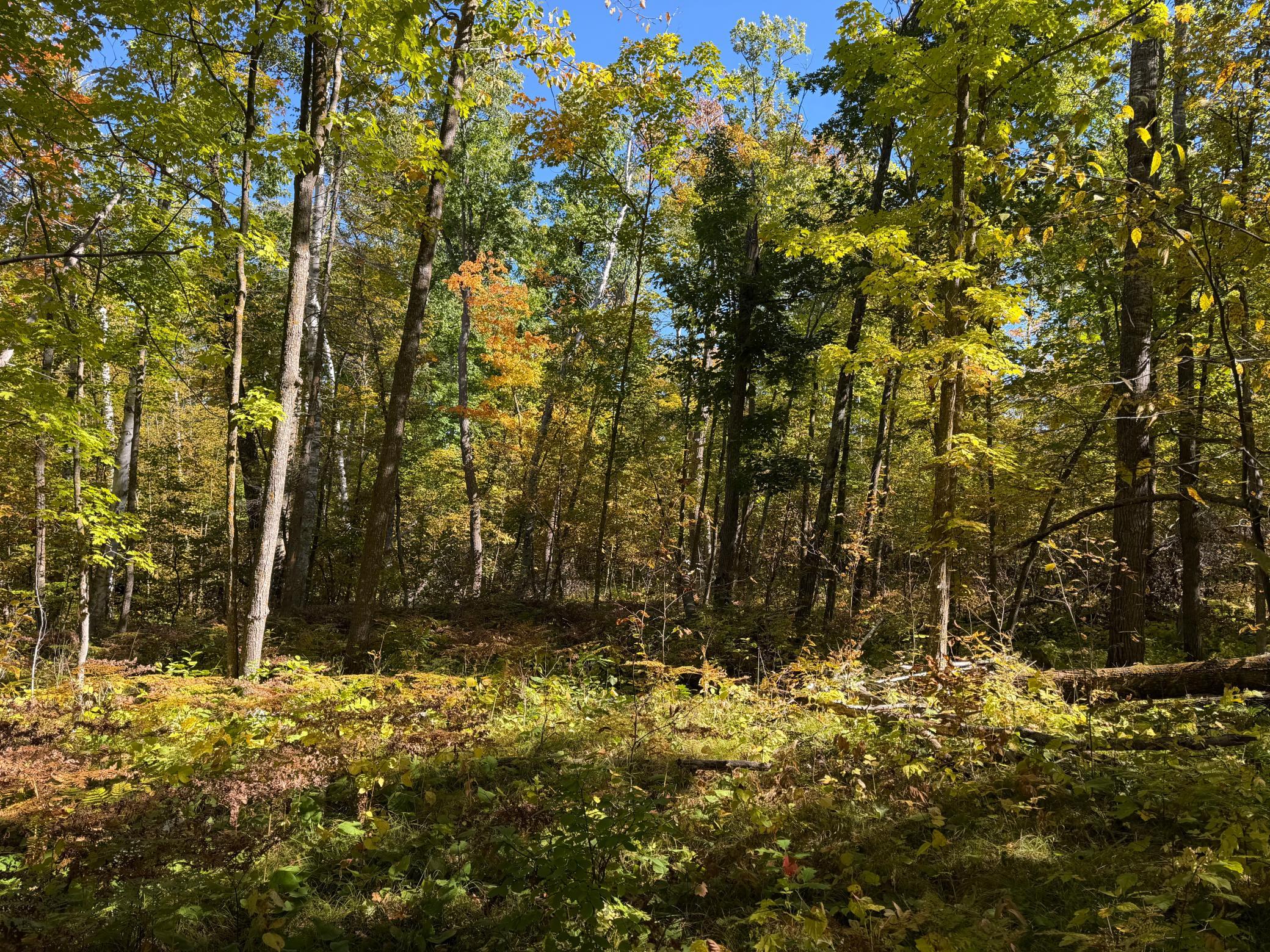land for sale at TBD- 269th Avenue in Laporte, MN (photo 35 of 44)
