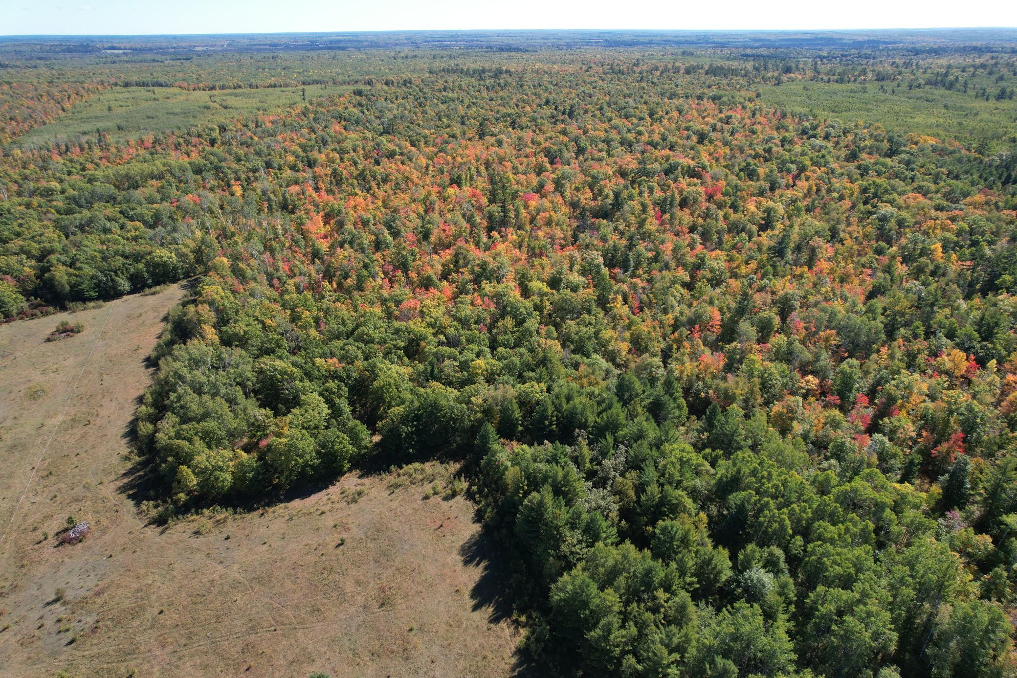 land for sale at TBD- 269th Avenue in Laporte, MN (photo 5 of 44)