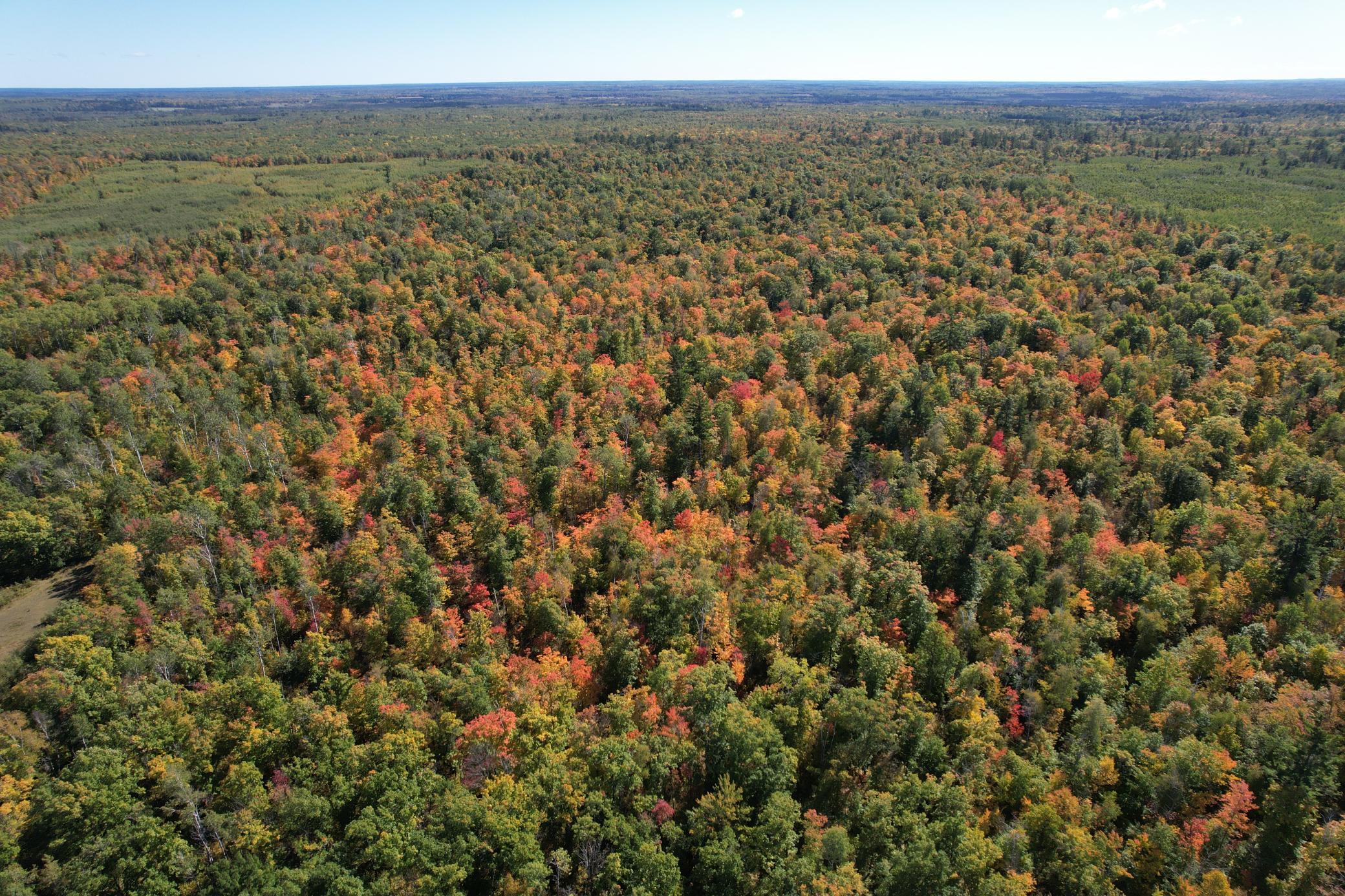 land for sale at TBD- 269th Avenue in Laporte, MN (photo 6 of 44)