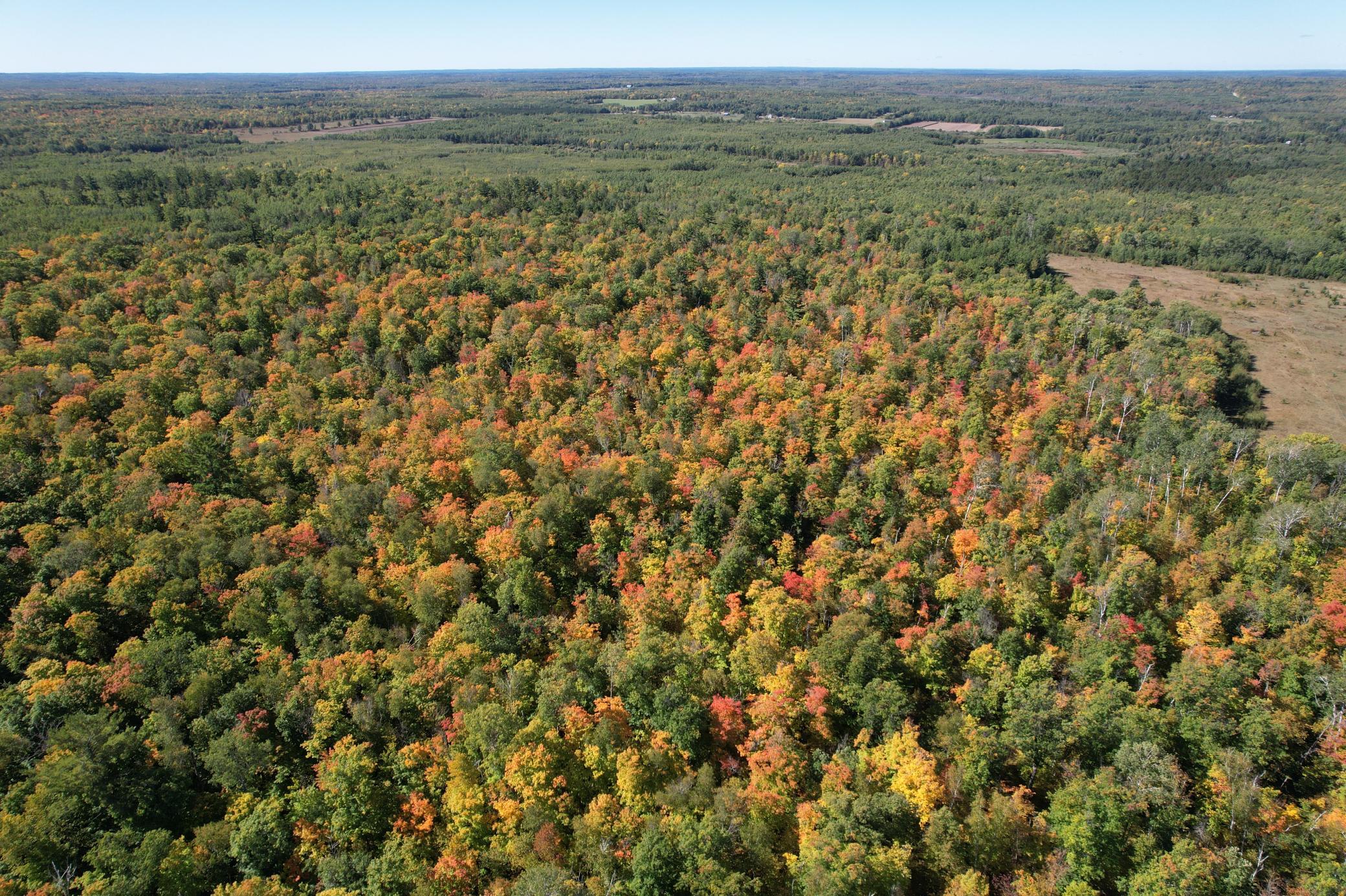land for sale at TBD- 269th Avenue in Laporte, MN (photo 9 of 44)