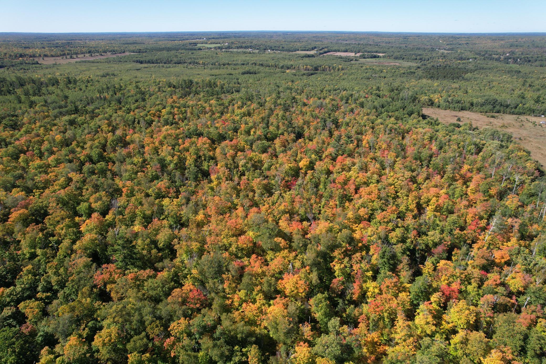 land for sale at TBD- 269th Avenue in Laporte, MN (photo 10 of 44)