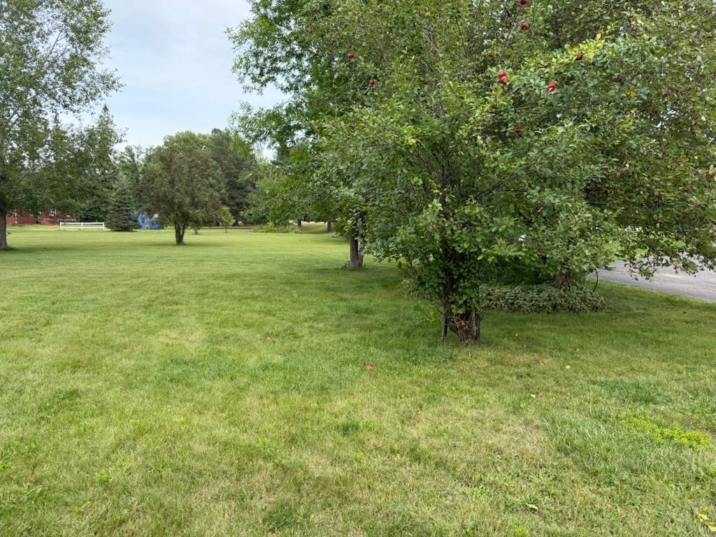 1995 single family home for sale at 30420 480th Street in Palisade, MN — 3 bed, 2 bath (photo 42 of 45)