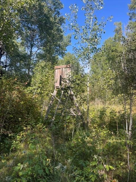land for sale at TBD 380th Street in Menahga, MN