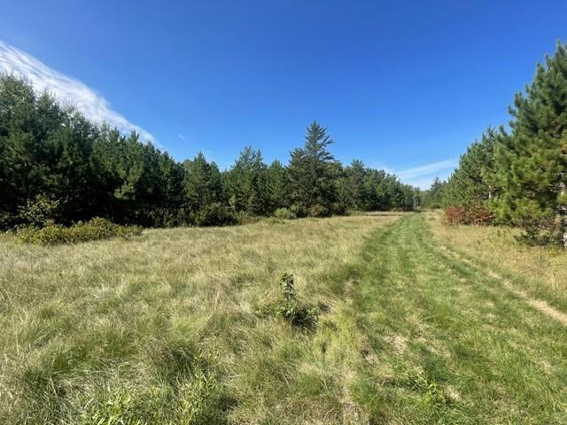 land for sale at TBD 380th Street in Menahga, MN (photo 2 of 22)