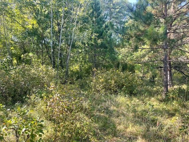 land for sale at TBD 380th Street in Menahga, MN (photo 11 of 22)