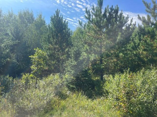 land for sale at TBD 380th Street in Menahga, MN (photo 12 of 22)