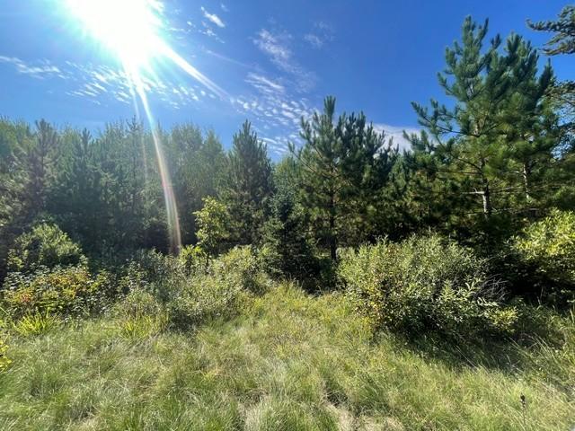 land for sale at TBD 380th Street in Menahga, MN (photo 13 of 22)