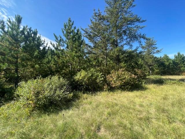 land for sale at TBD 380th Street in Menahga, MN (photo 14 of 22)