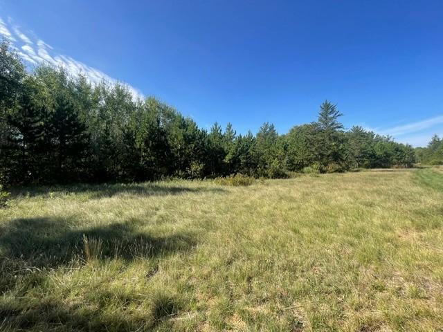 land for sale at TBD 380th Street in Menahga, MN (photo 15 of 22)