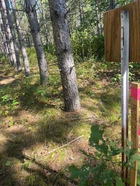 land for sale at TBD 380th Street in Menahga, MN (photo 16 of 22)