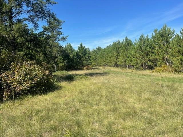 land for sale at TBD 380th Street in Menahga, MN (photo 17 of 22)