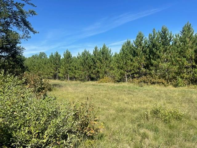 land for sale at TBD 380th Street in Menahga, MN (photo 18 of 22)