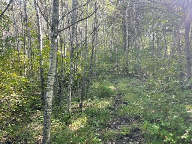 land for sale at TBD 380th Street in Menahga, MN (photo 19 of 22)