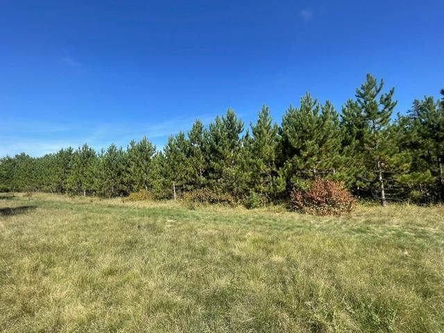 land for sale at TBD 380th Street in Menahga, MN (photo 3 of 22)