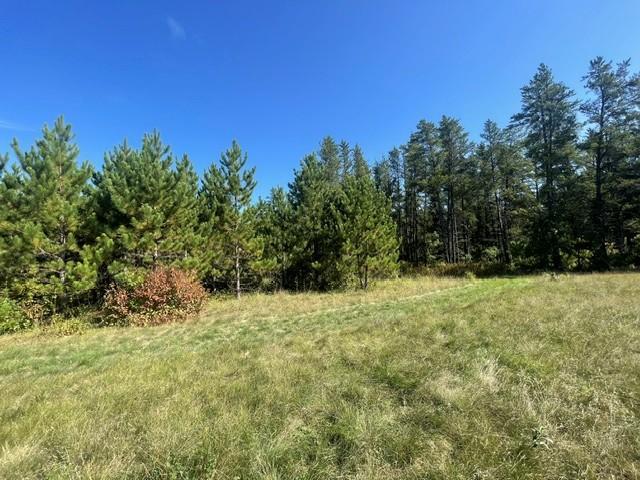 land for sale at TBD 380th Street in Menahga, MN (photo 4 of 22)
