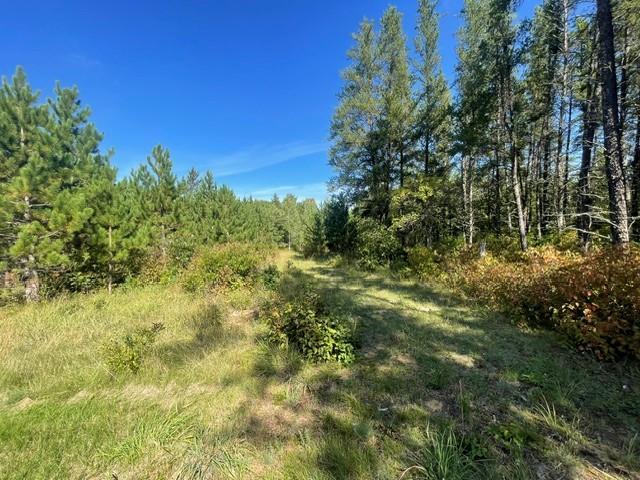 land for sale at TBD 380th Street in Menahga, MN (photo 5 of 22)